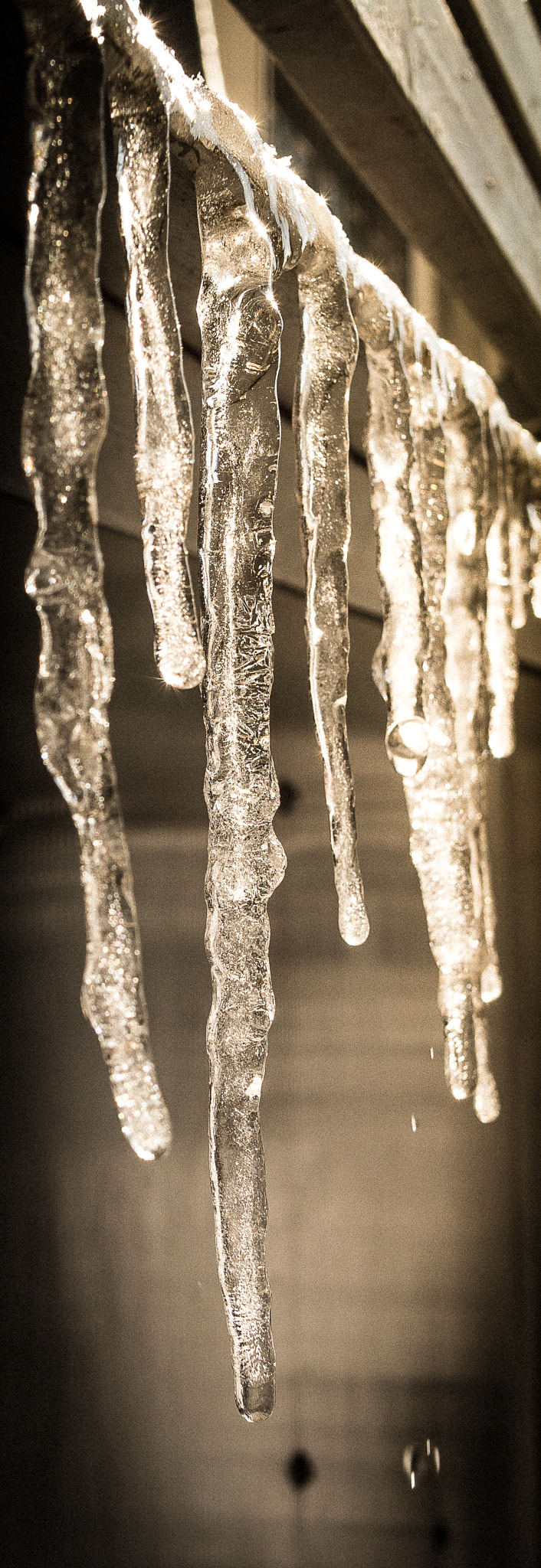Samsung NX1000 + Samsung NX 16mm F2.4 Pancake sample photo. Light through icicles photography