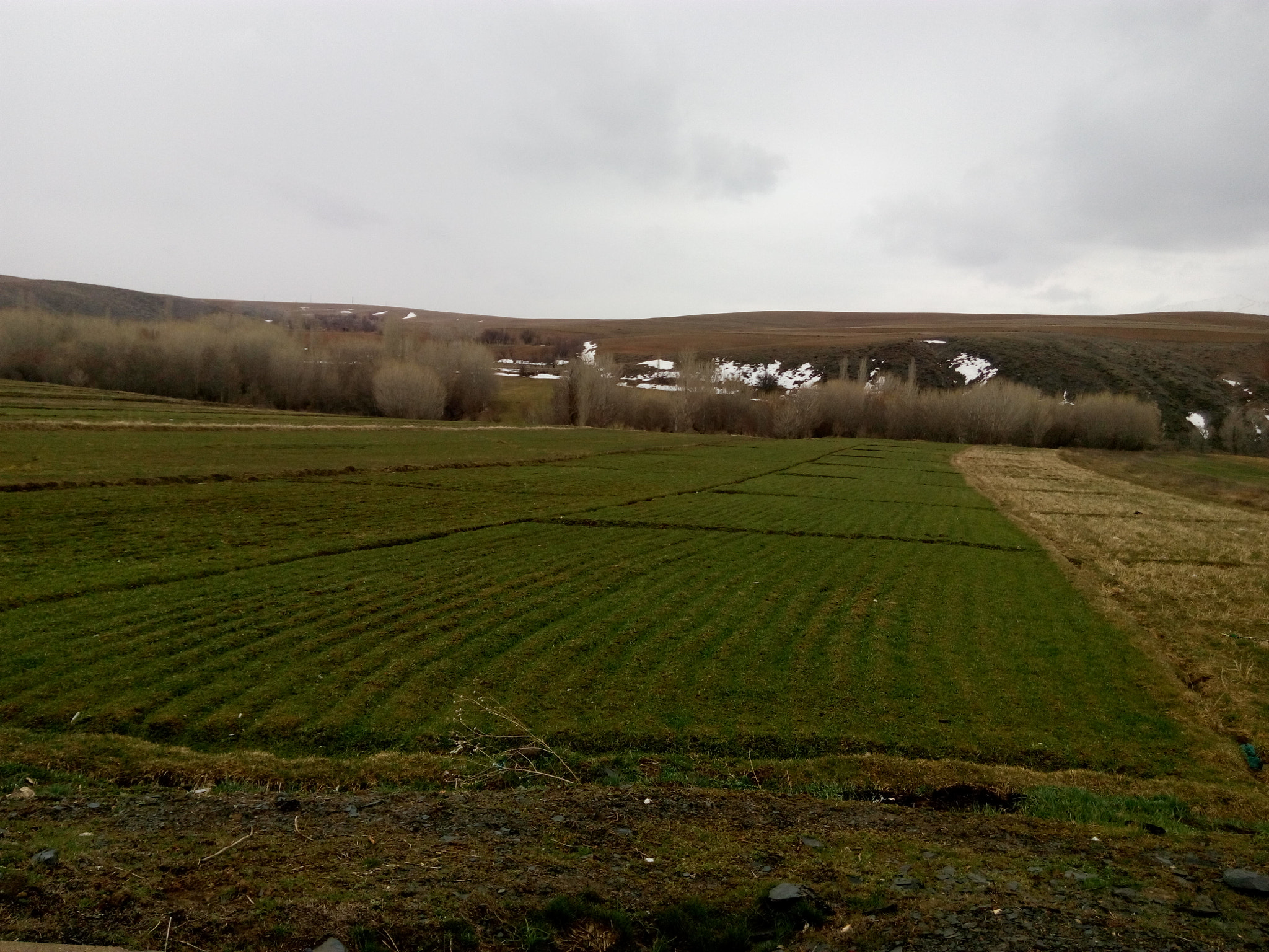 HTC DESIRE 816G DUAL SIM sample photo