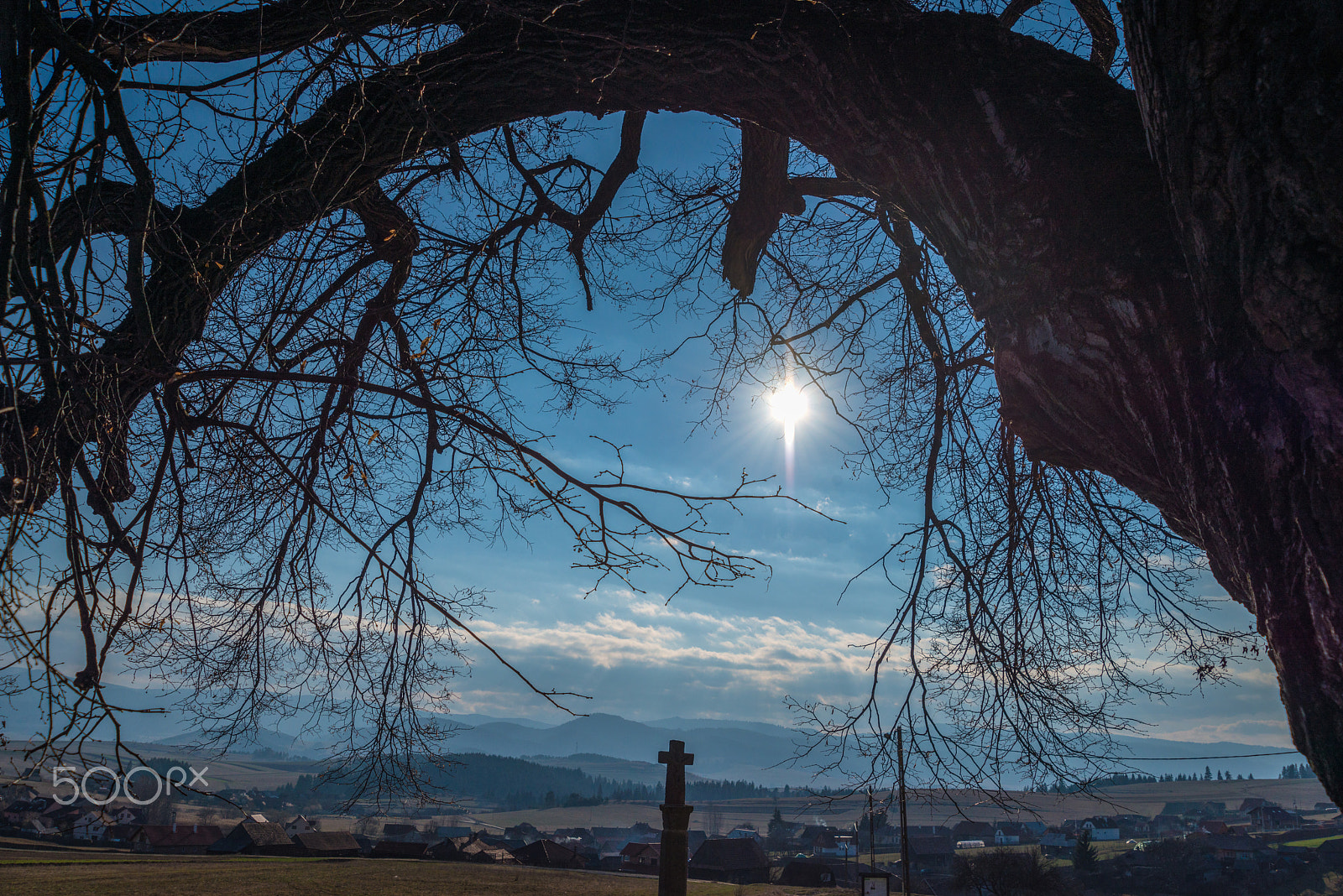 AF Zoom-Nikkor 28-100mm f/3.5-5.6G sample photo. Branches photography