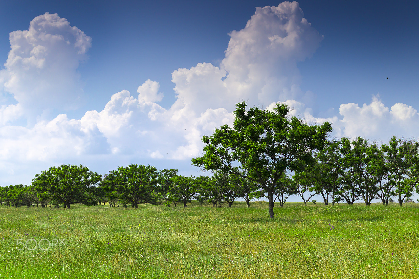 Canon EOS-1D Mark IV sample photo. Crimean landscape. photography