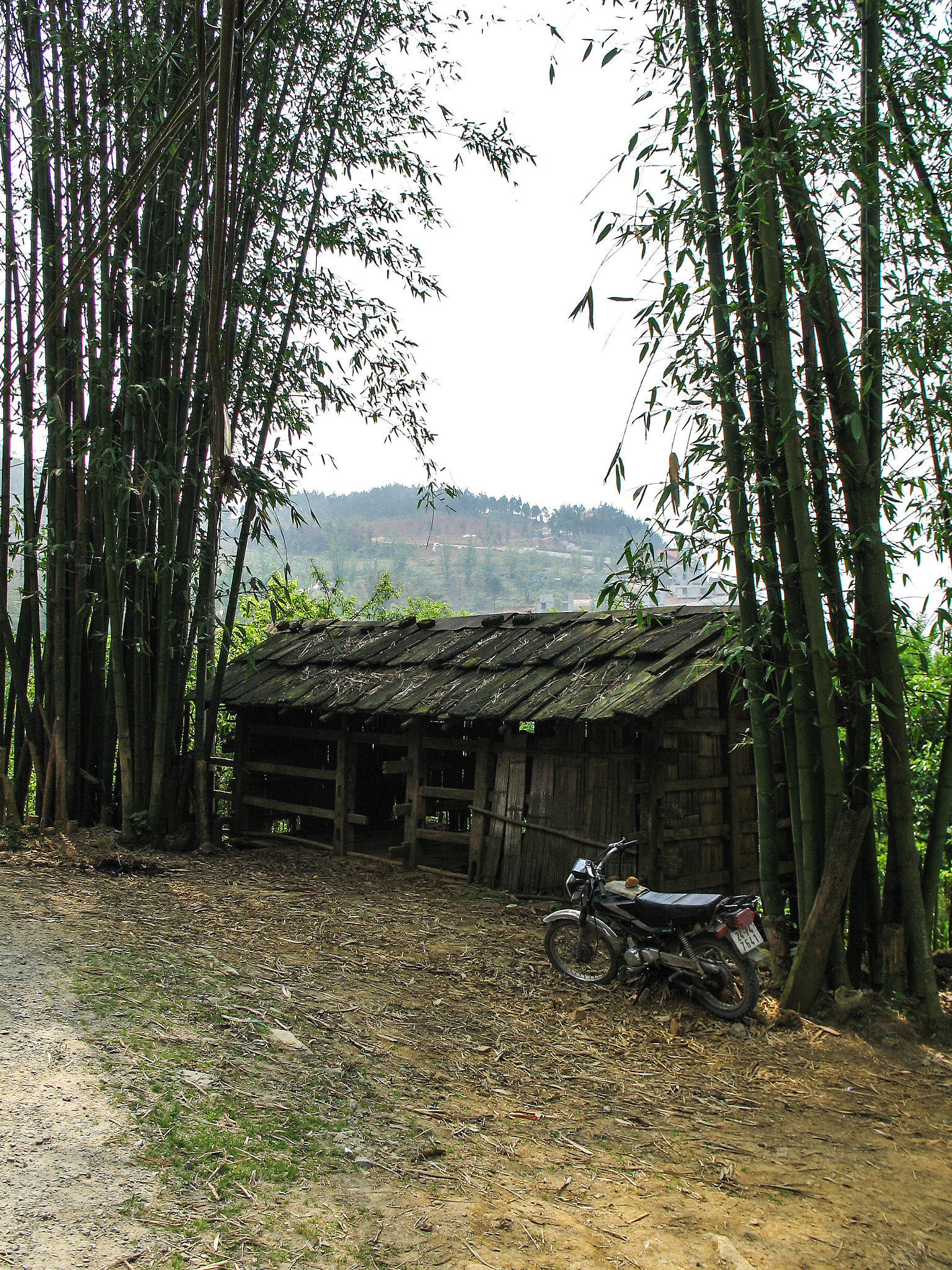 Canon POWERSHOT G6 sample photo. Sapa photography