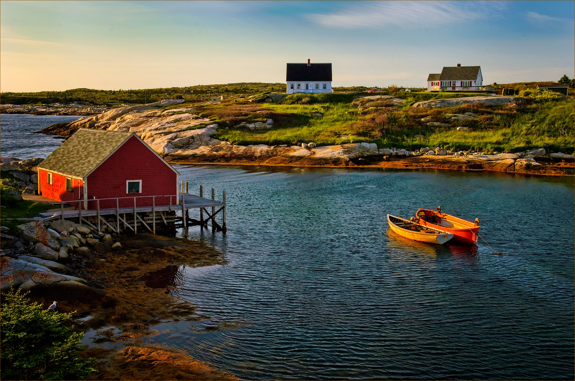 Nikon D2Xs sample photo. Peggy's cove - nova scotia photography