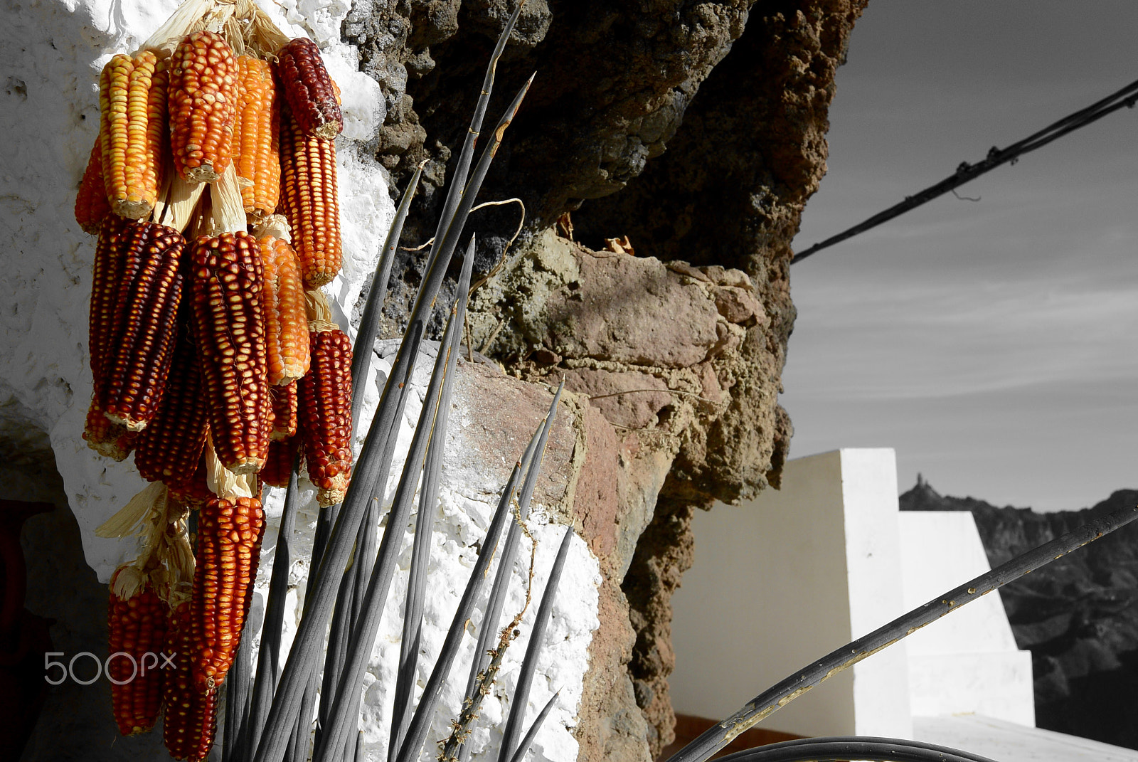 Nikon 1 S1 sample photo. Red corn photography