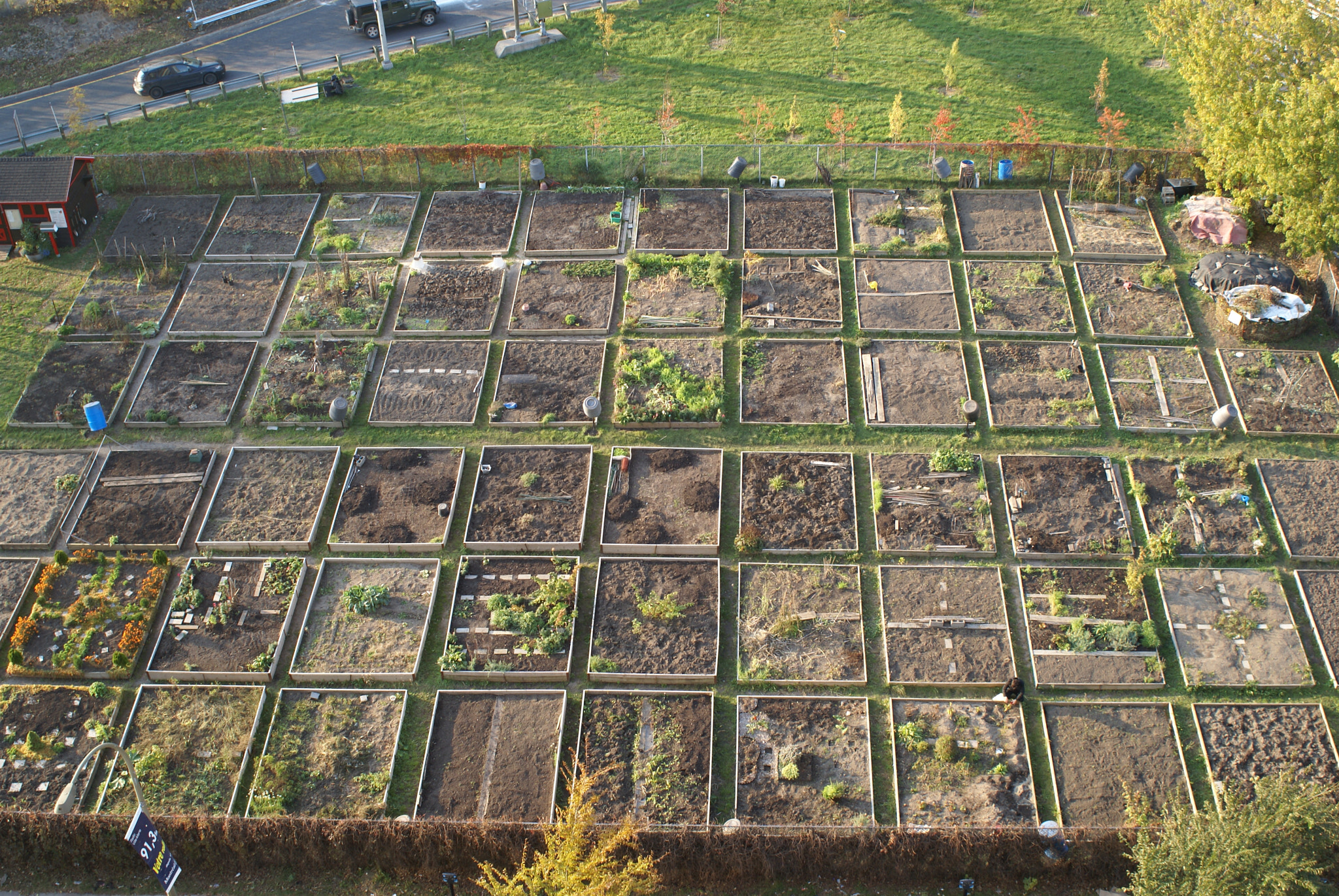 Sony 28mm F2.8 sample photo. Balcony view of community gardens photography
