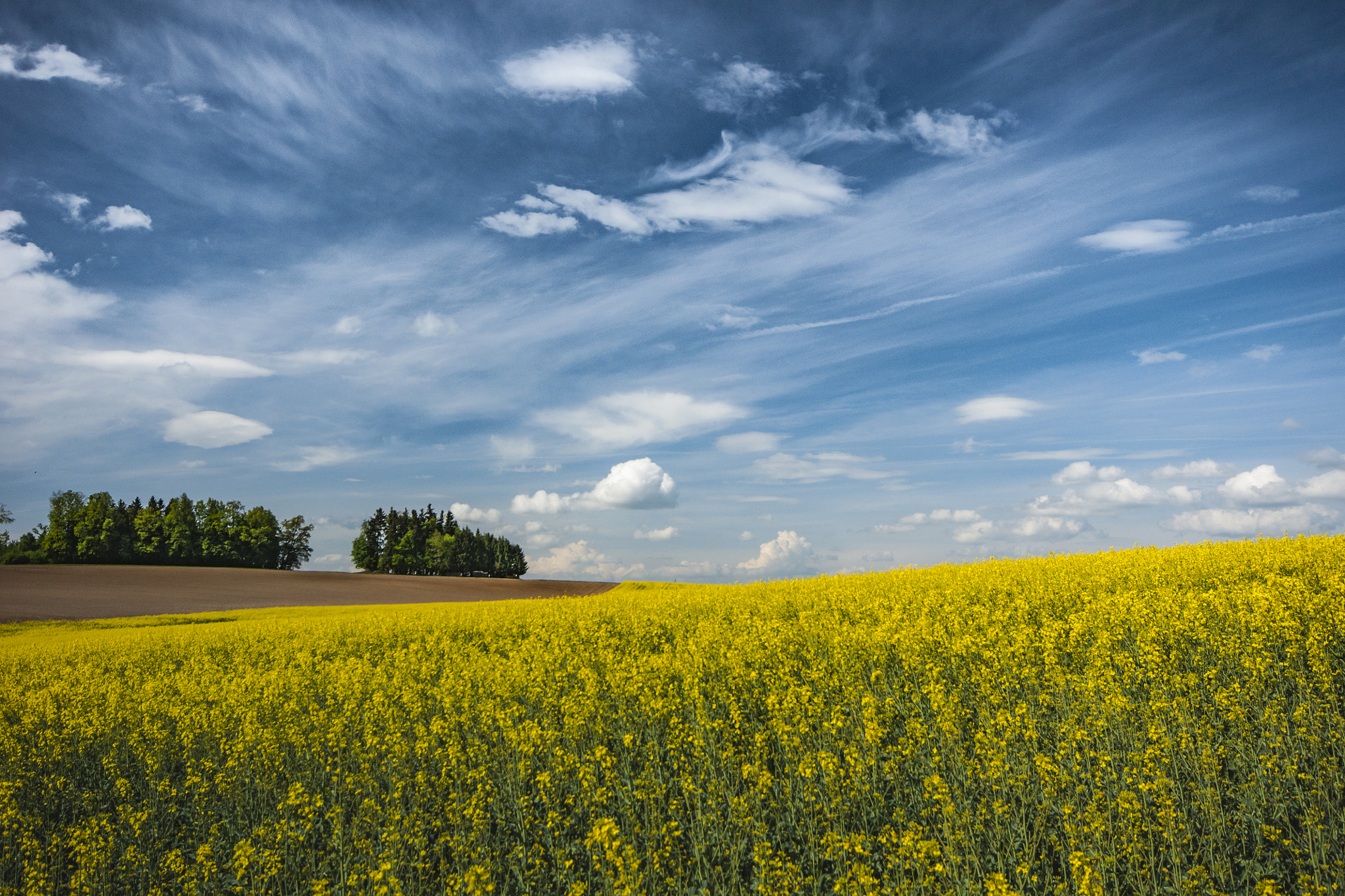 Sigma AF 10-20mm F4-5.6 EX DC sample photo. Colors on austria photography
