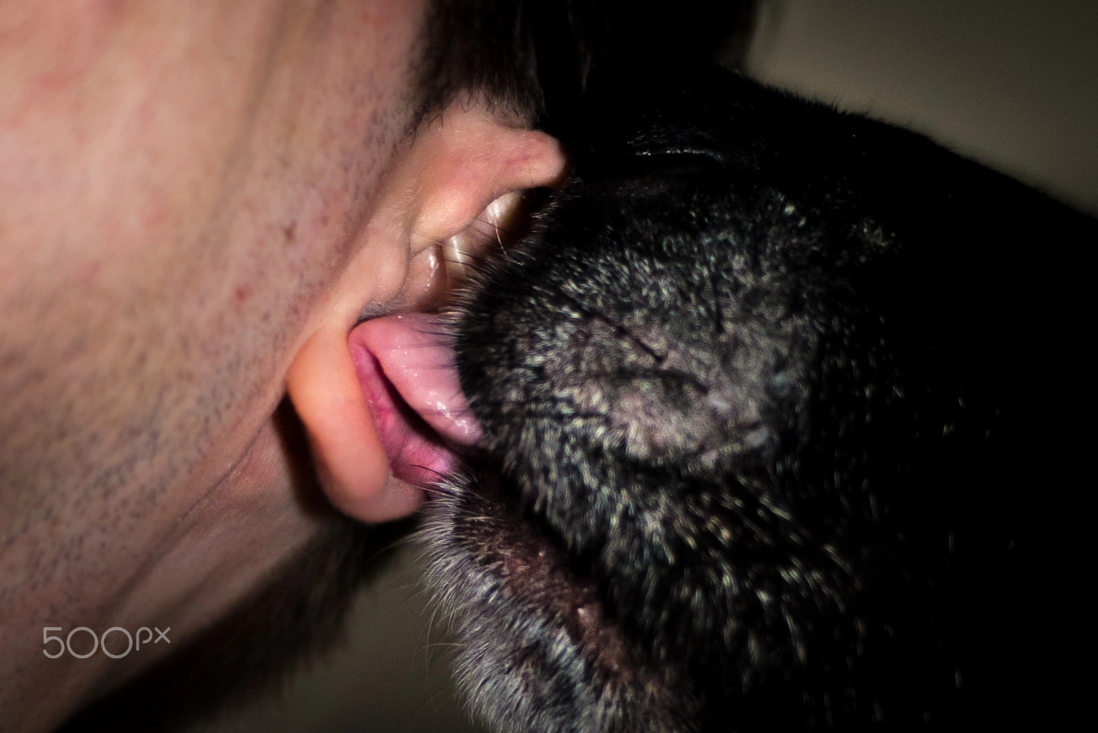 AF Zoom-Nikkor 35-70mm f/3.3-4.5 N sample photo. Slip of the tongue photography