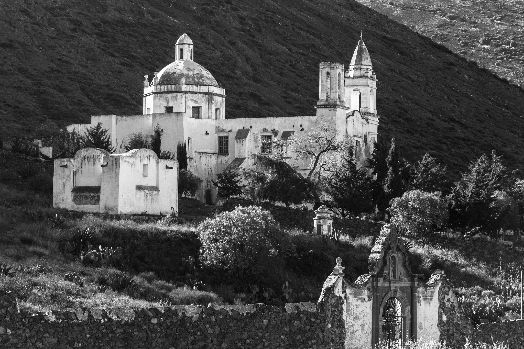 Canon EOS 700D (EOS Rebel T5i / EOS Kiss X7i) + Canon EF 70-200mm F4L USM sample photo. Real de catorce photography