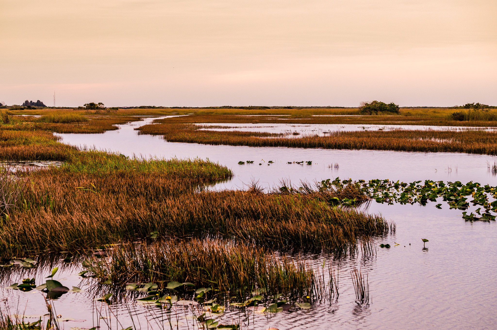 Sony Alpha NEX-3N + Sony E 55-210mm F4.5-6.3 OSS sample photo. Everglades landscape photography