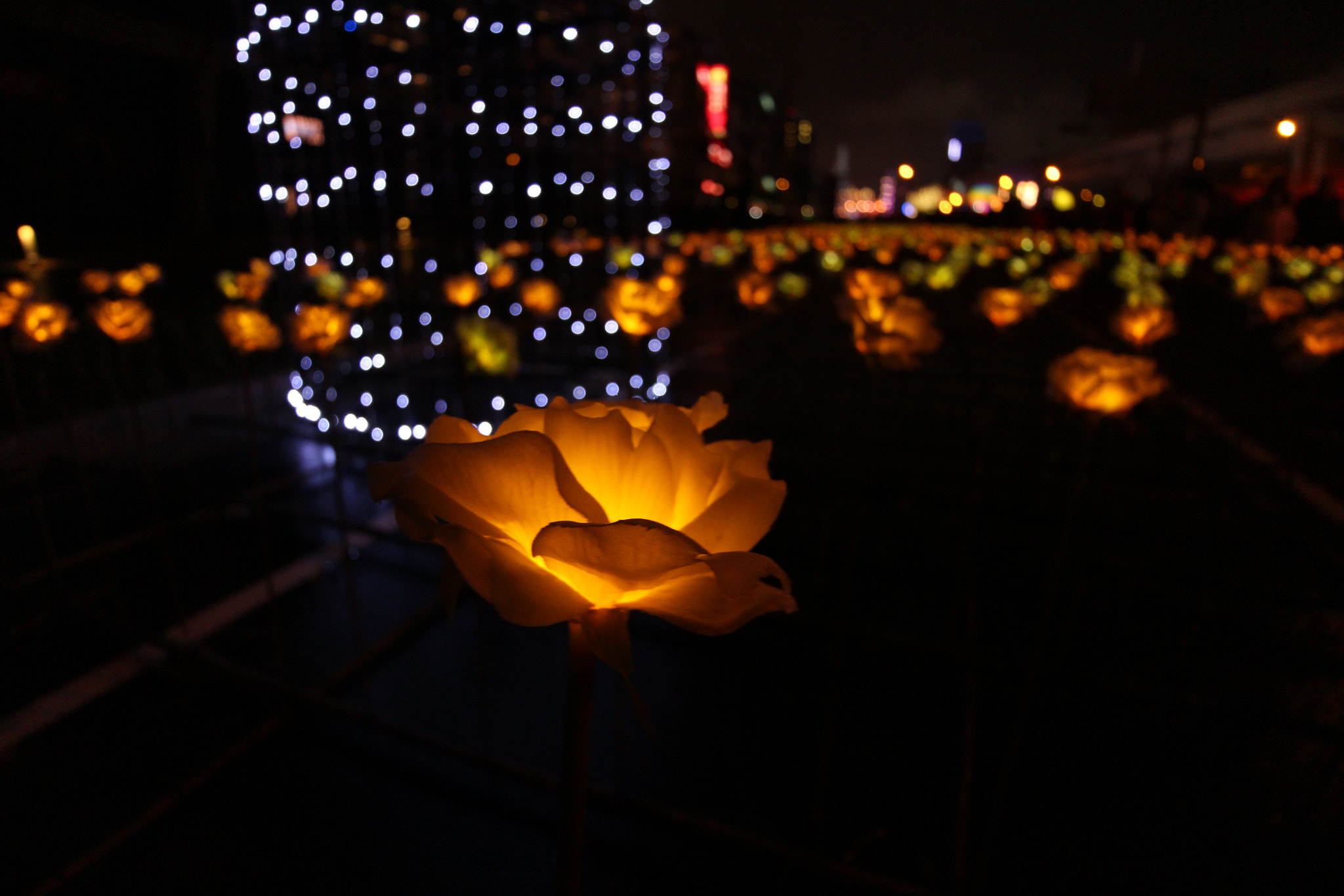 Canon EOS M2 sample photo. Untitled photography
