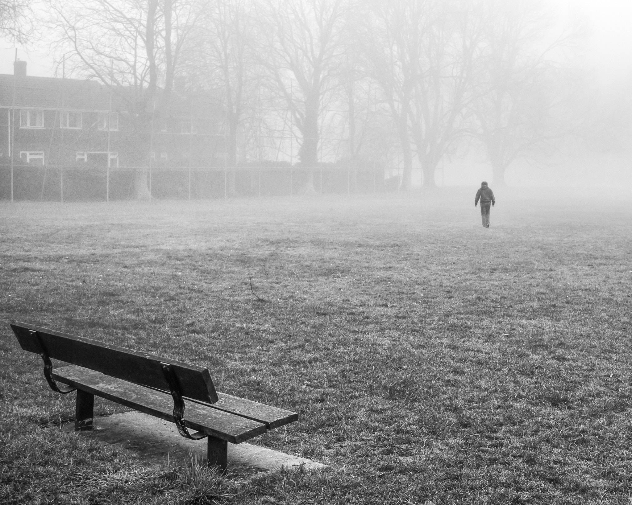 Canon EF 35-350mm F3.5-5.6L USM sample photo. Misty morning photography