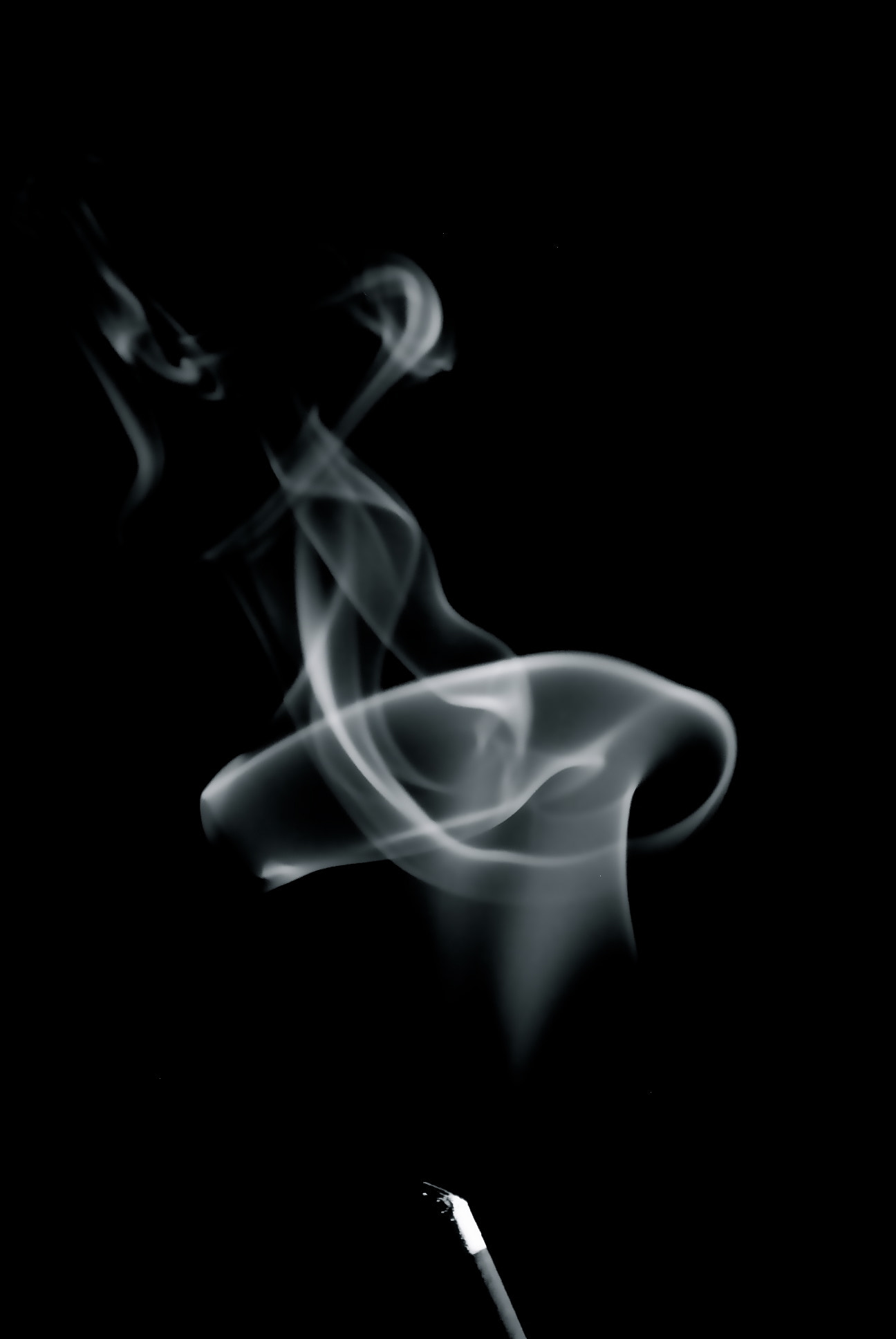 Nikon D40X sample photo. Smoke art photography