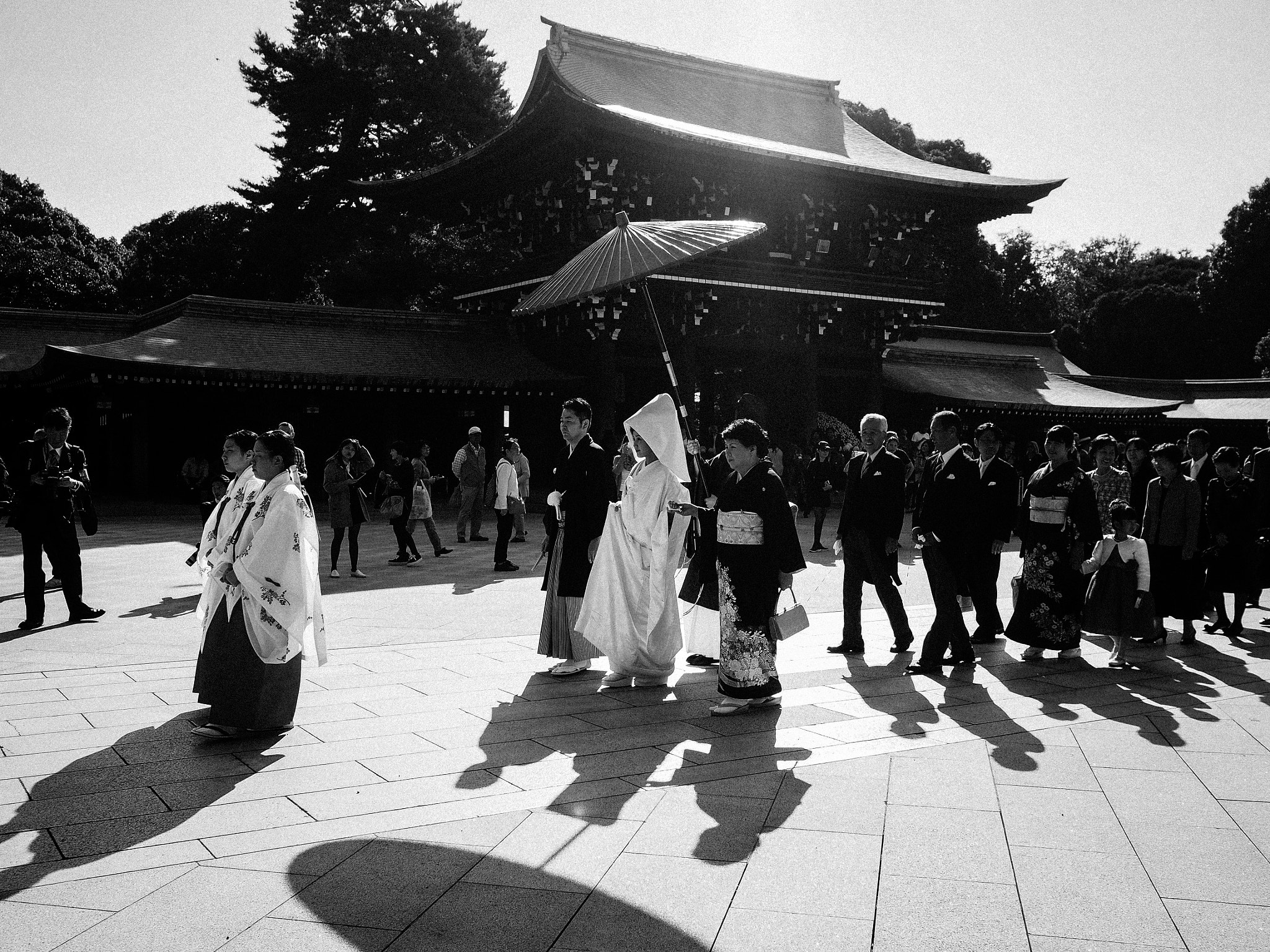 Olympus OM-D E-M5 + Olympus M.Zuiko Digital 17mm F1.8 sample photo. Wedding walk, tokyo 2015 photography
