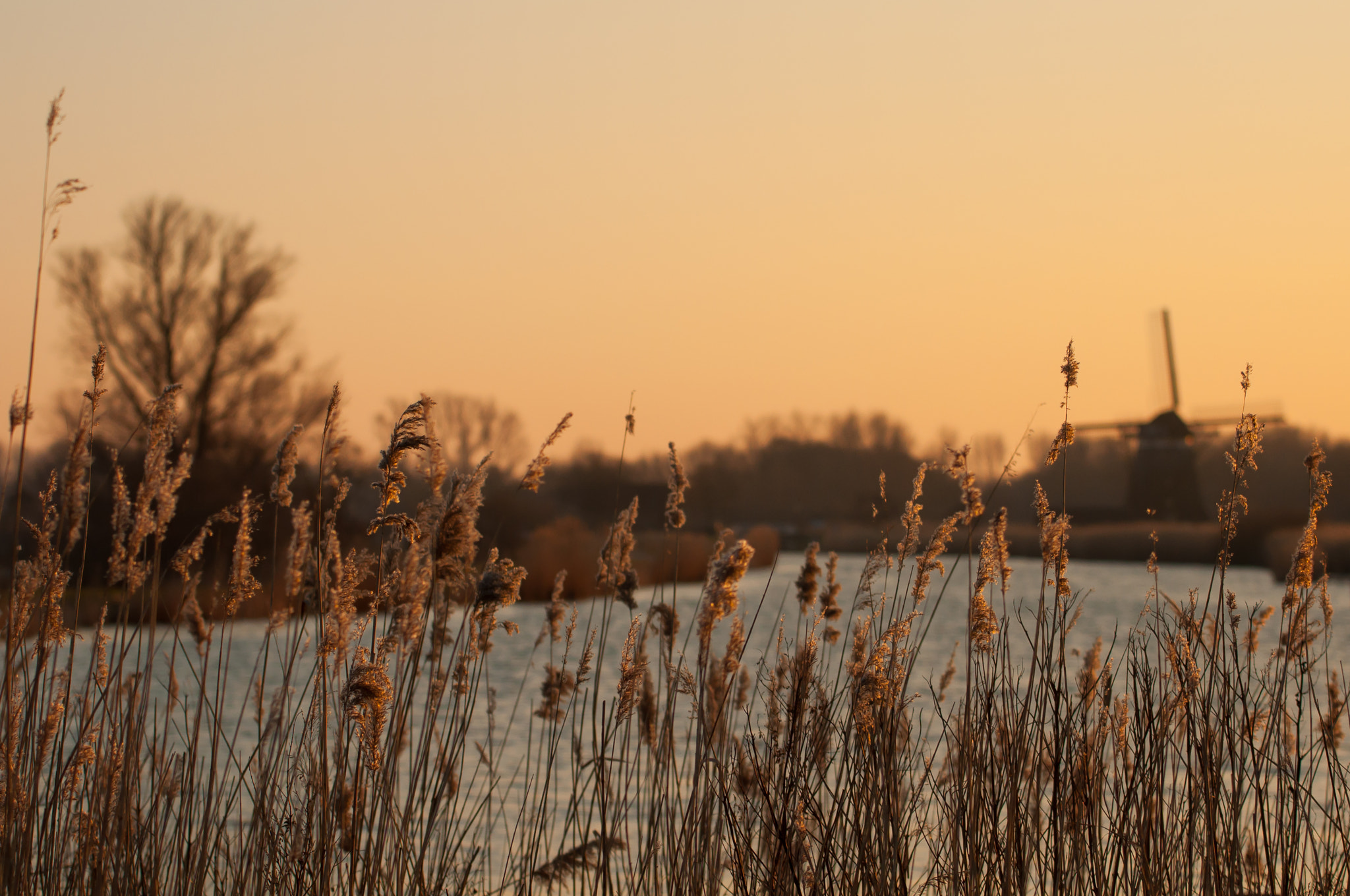 Nikon AF-S Nikkor 70-200mm F4G ED VR sample photo. Polder landscape photography