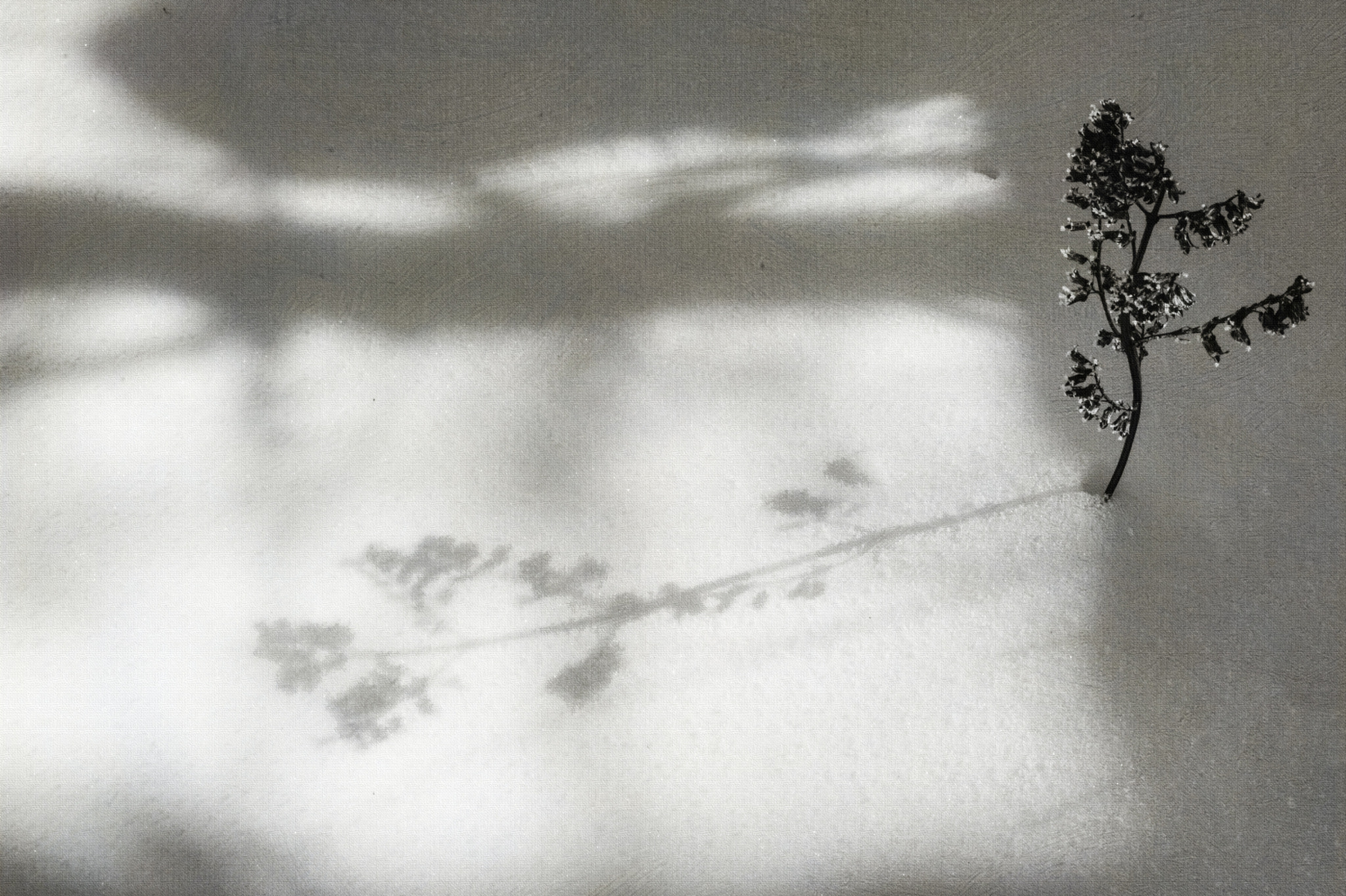 AF Zoom-Nikkor 28-80mm f/3.3-5.6G sample photo. Snow shadow photography