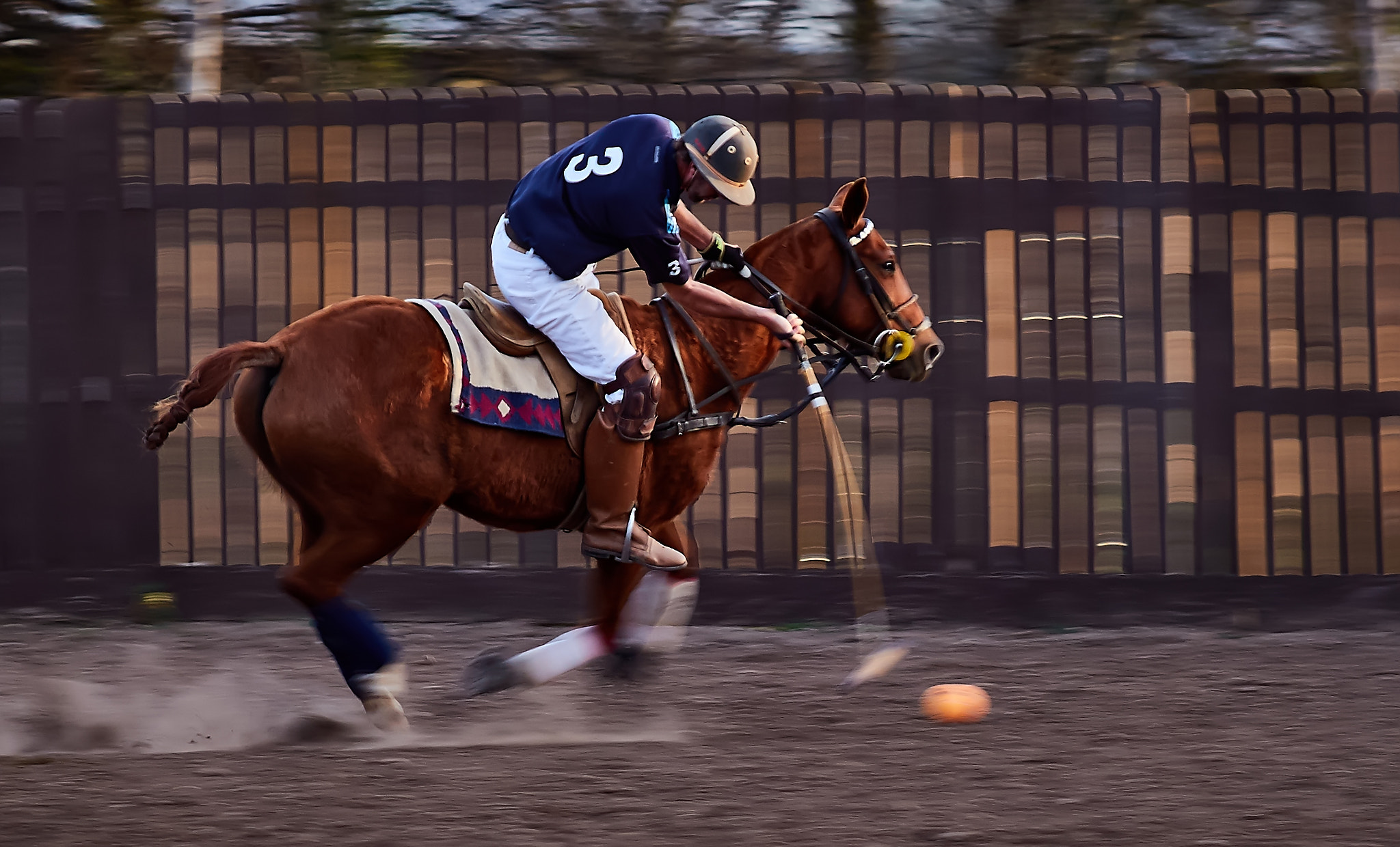 Canon EOS 7D Mark II + Canon EF 135mm F2L USM sample photo. 8a0a1968_2329.jpg photography