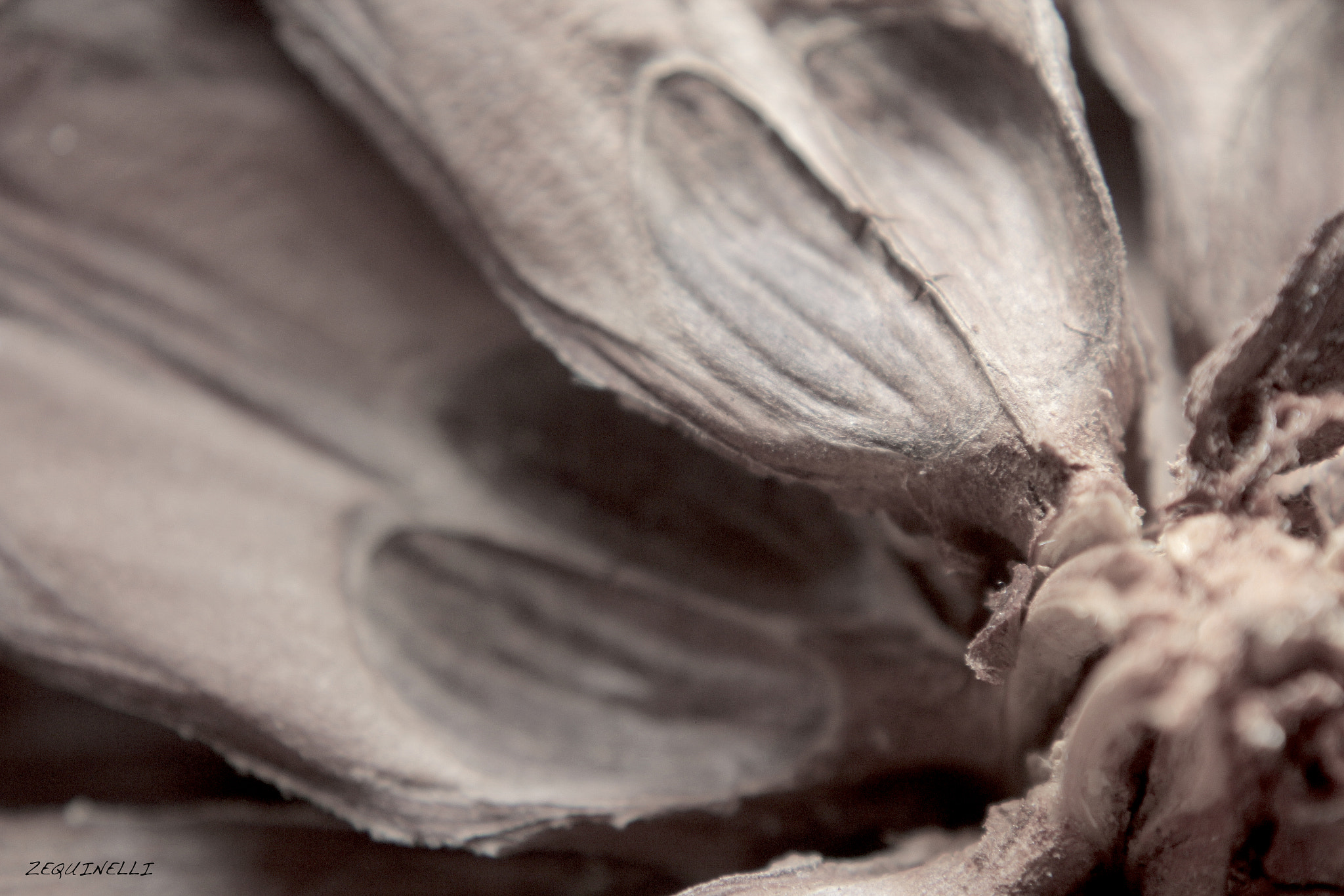 Sigma 28-80mm f/3.5-5.6 II Macro sample photo. Fabric photography