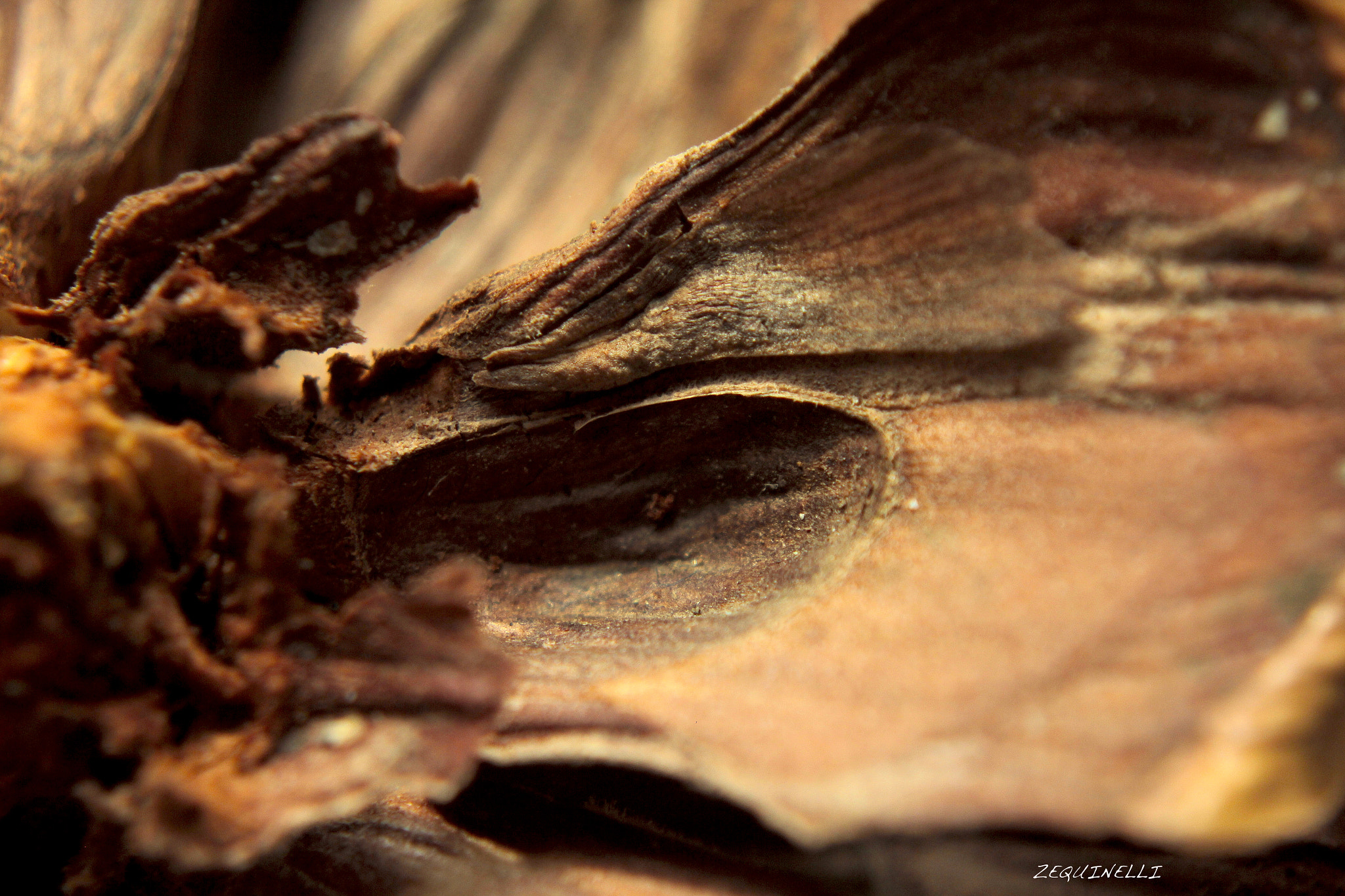 Sigma 28-80mm f/3.5-5.6 II Macro sample photo. Hole photography