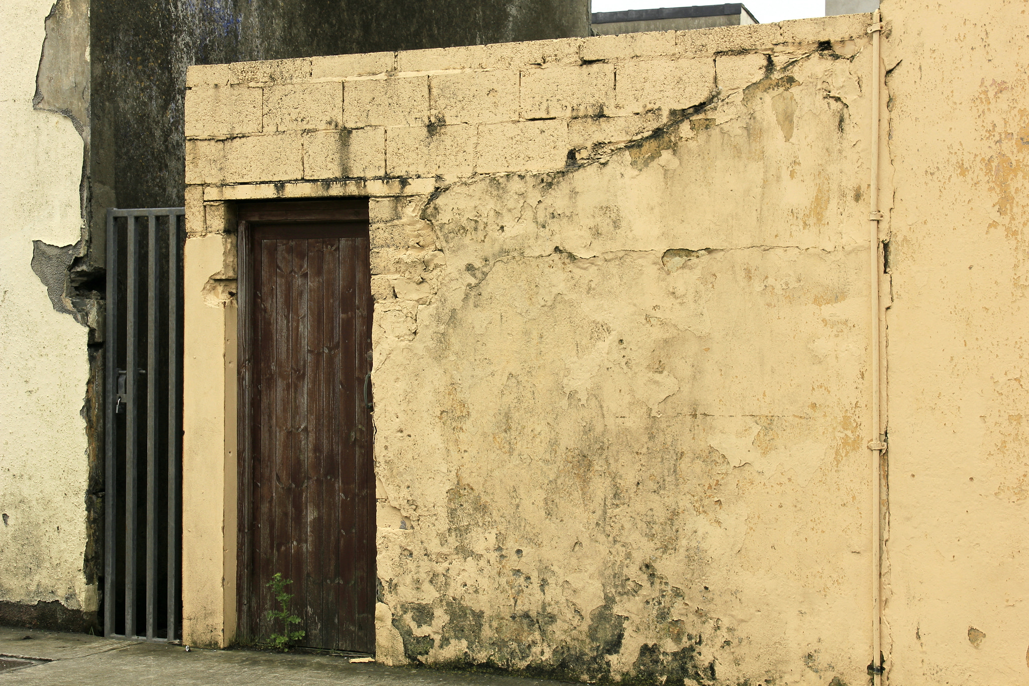 Canon EF-S 18-55mm F3.5-5.6 IS sample photo. Sad state of affairs ireland photography