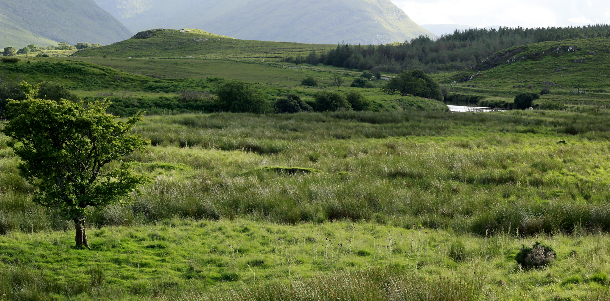 Canon EOS 550D (EOS Rebel T2i / EOS Kiss X4) + Canon EF 50mm F1.8 II sample photo. Surreal scene connemara ireland photography