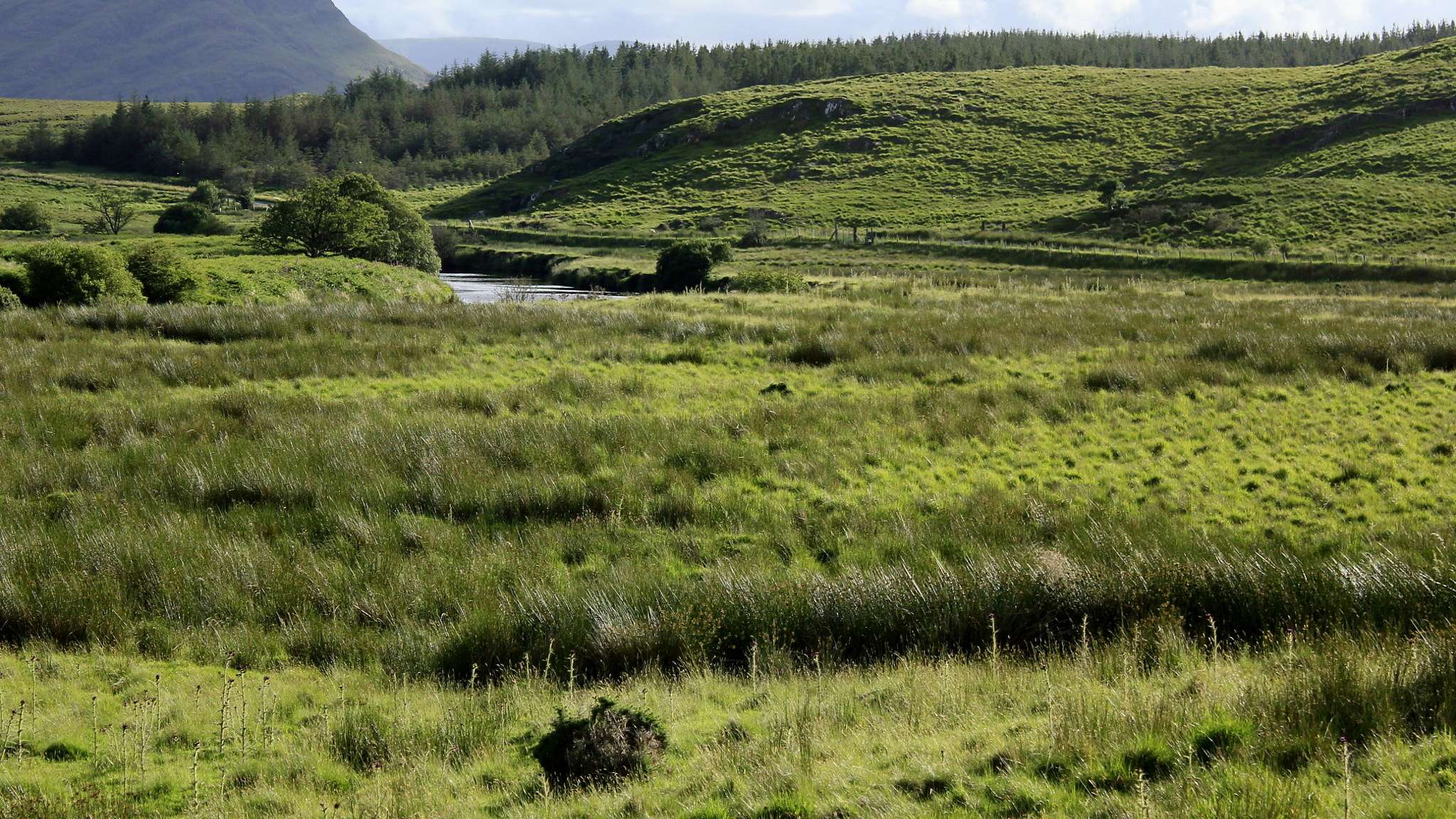 Canon EF-S 18-55mm F3.5-5.6 IS sample photo. Brookside meadow photography