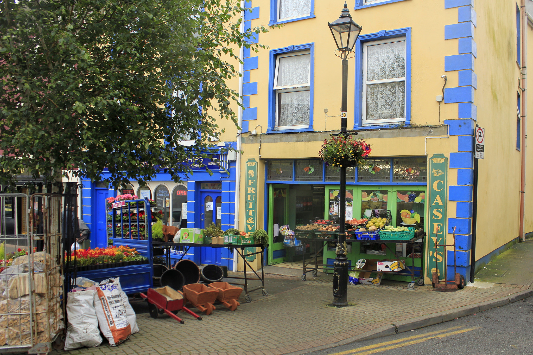 Canon EF-S 18-55mm F3.5-5.6 IS sample photo. Casseys of kilrush photography
