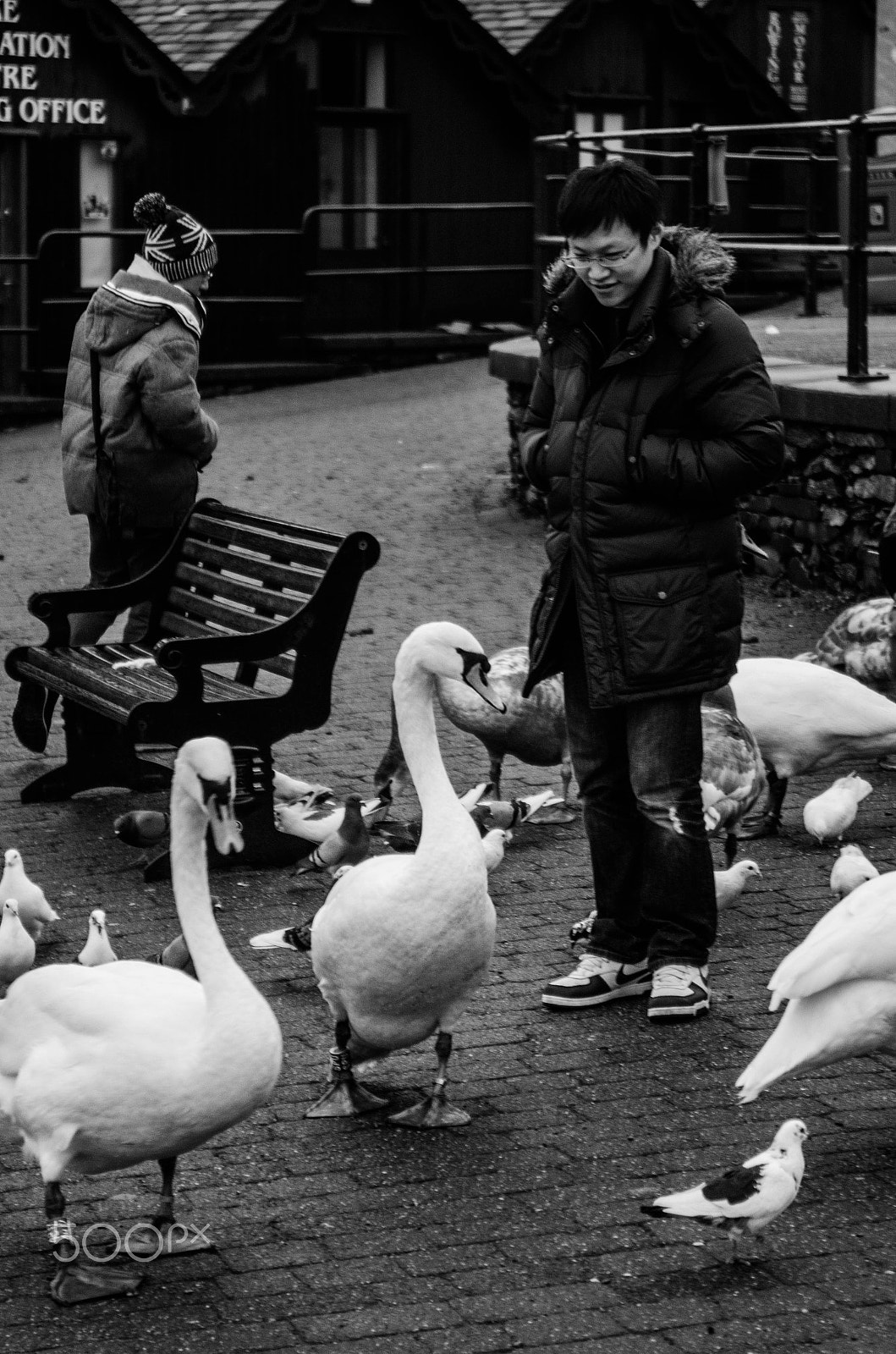 AF Zoom-Nikkor 28-85mm f/3.5-4.5 sample photo. Feeding time photography