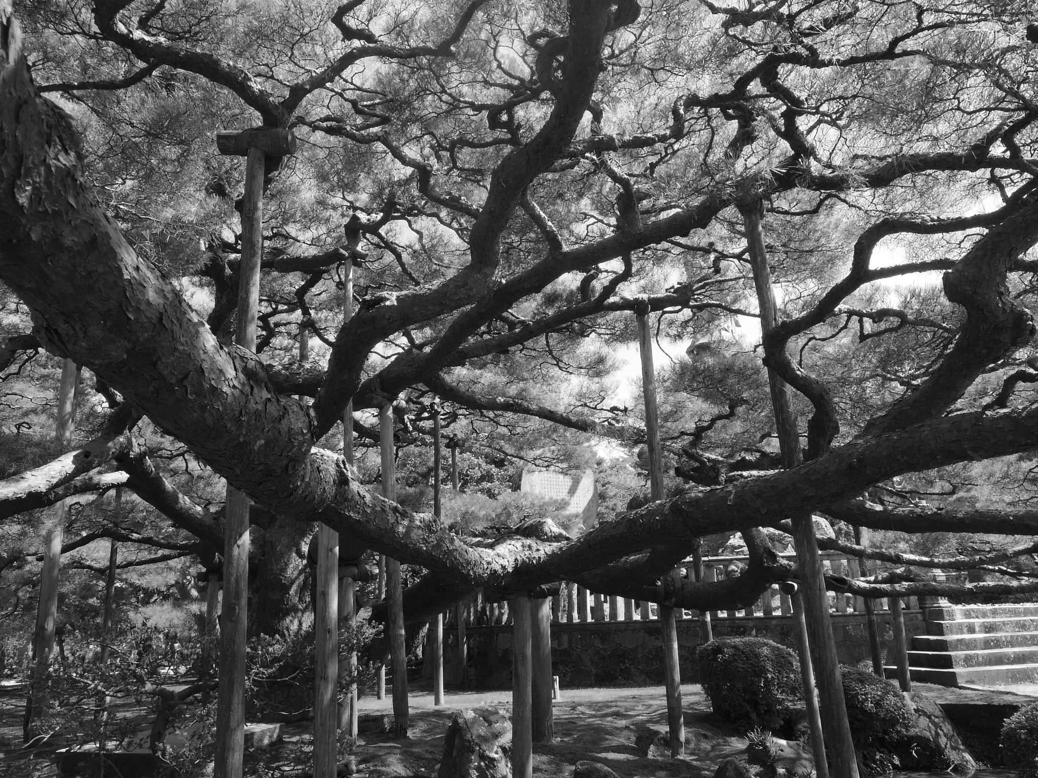 Pentax Q10 sample photo. Trip photography