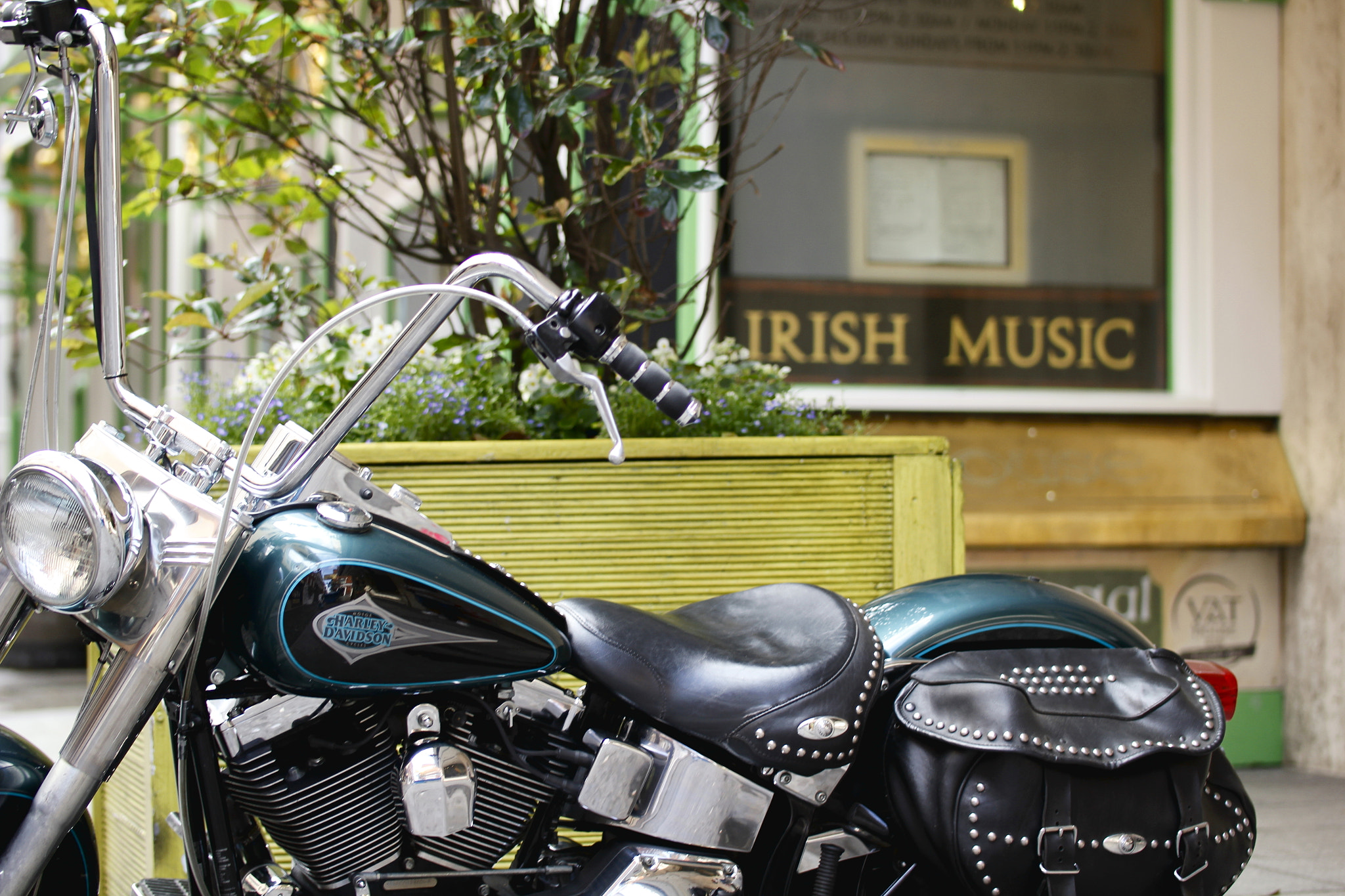 Canon EOS 550D (EOS Rebel T2i / EOS Kiss X4) sample photo. Irish american culture photography