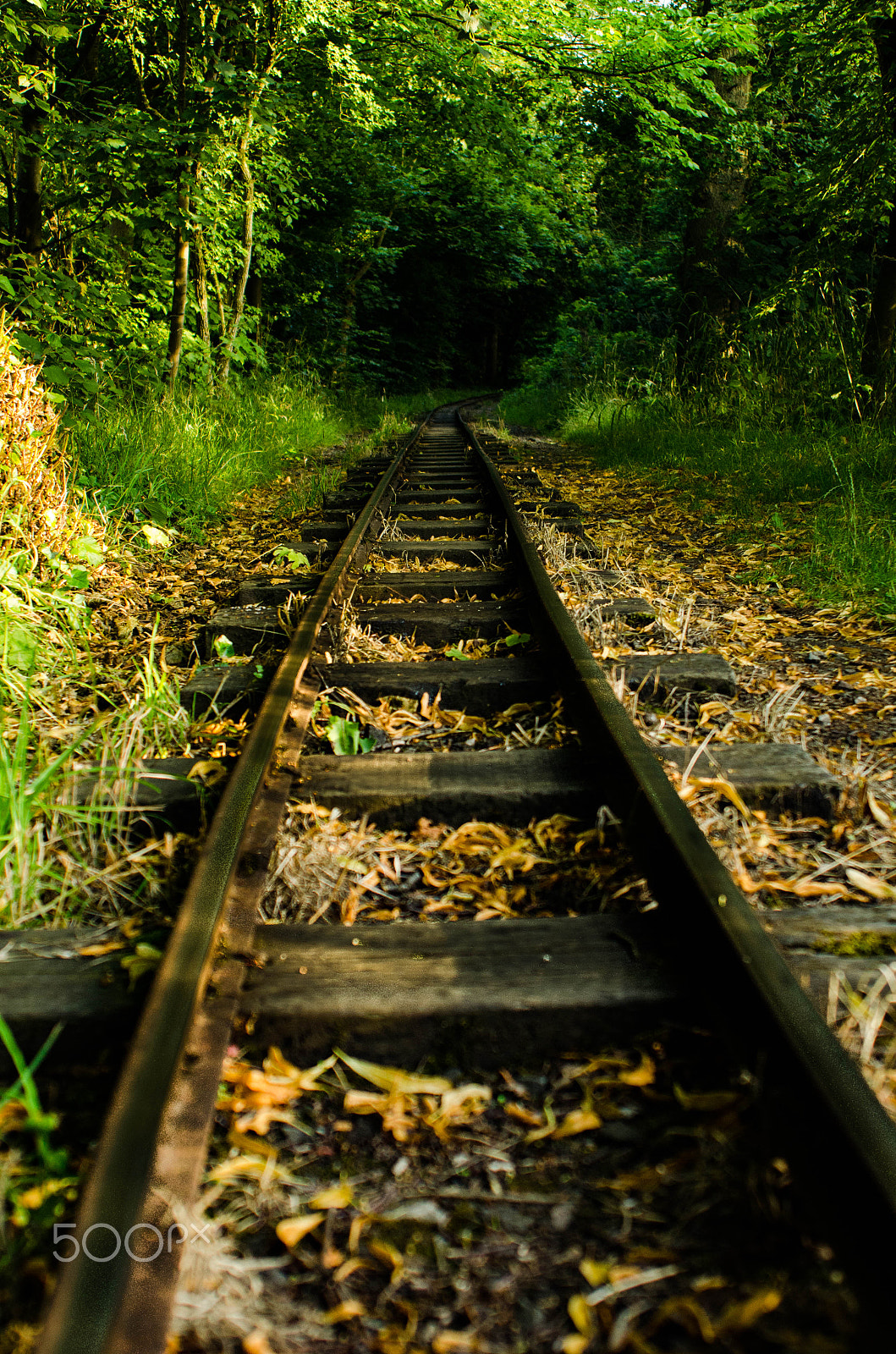 AF Zoom-Nikkor 28-85mm f/3.5-4.5 sample photo. Autumn tracks photography