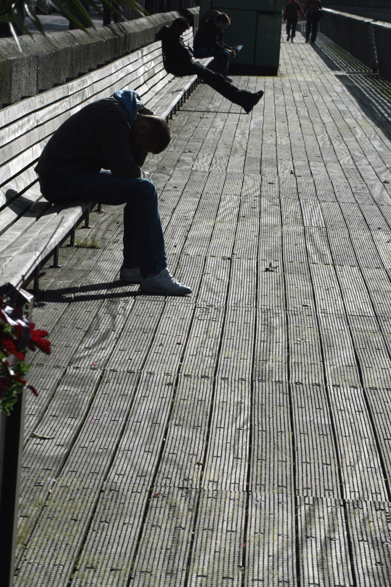Canon EOS 400D (EOS Digital Rebel XTi / EOS Kiss Digital X) sample photo. Dublin bench shadow photography