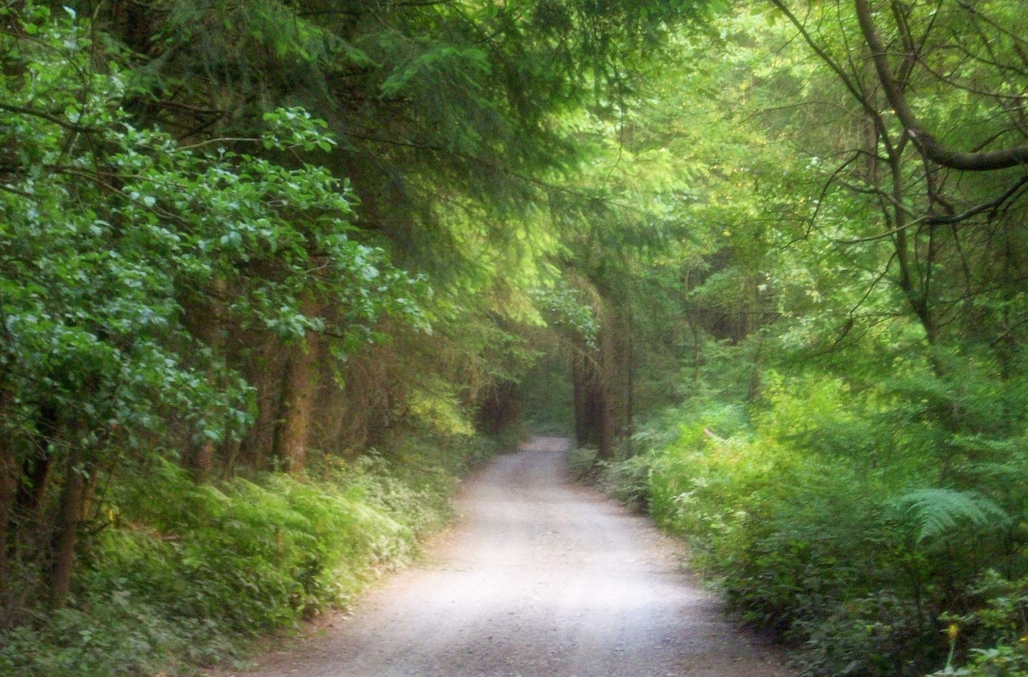 Kodak EASYSHARE M863 DIGITAL CAMERA sample photo. Pathway to insanity photography