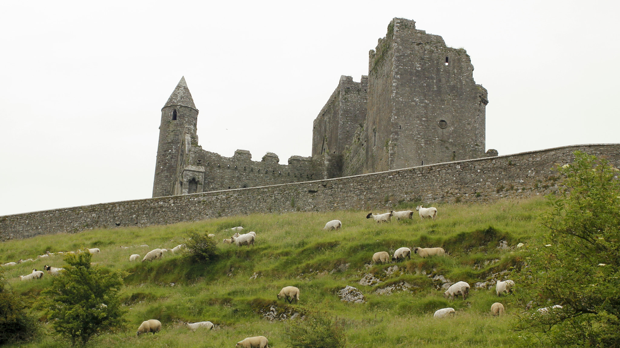 Canon EOS 550D (EOS Rebel T2i / EOS Kiss X4) sample photo. The rock of cashel photography