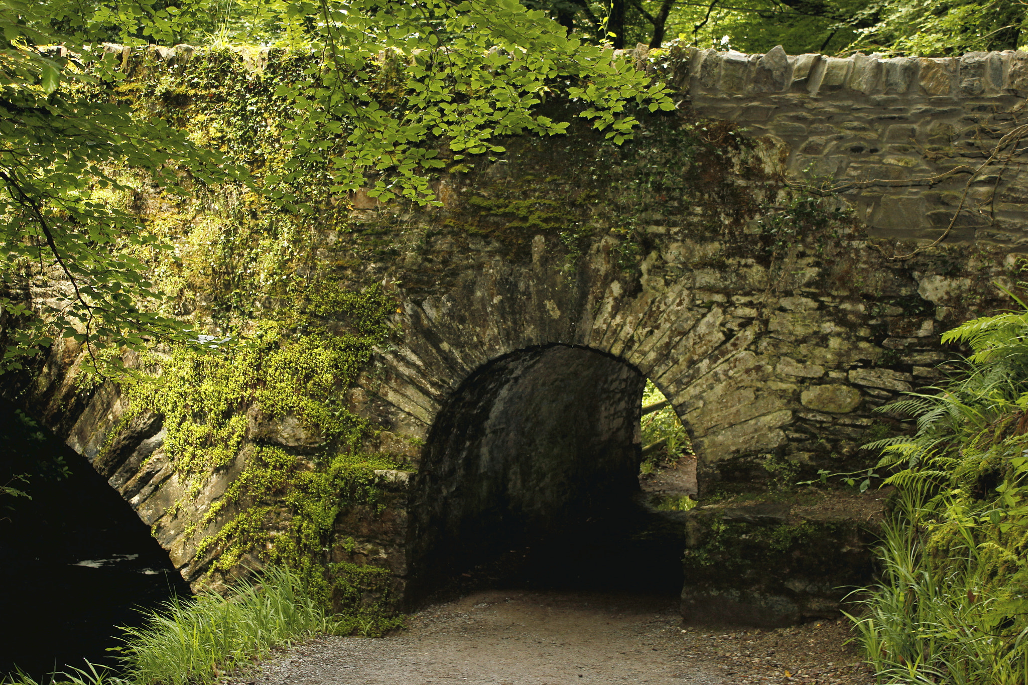 Canon EOS 550D (EOS Rebel T2i / EOS Kiss X4) + Canon EF-S 18-55mm F3.5-5.6 IS sample photo. Killarney bridge photography