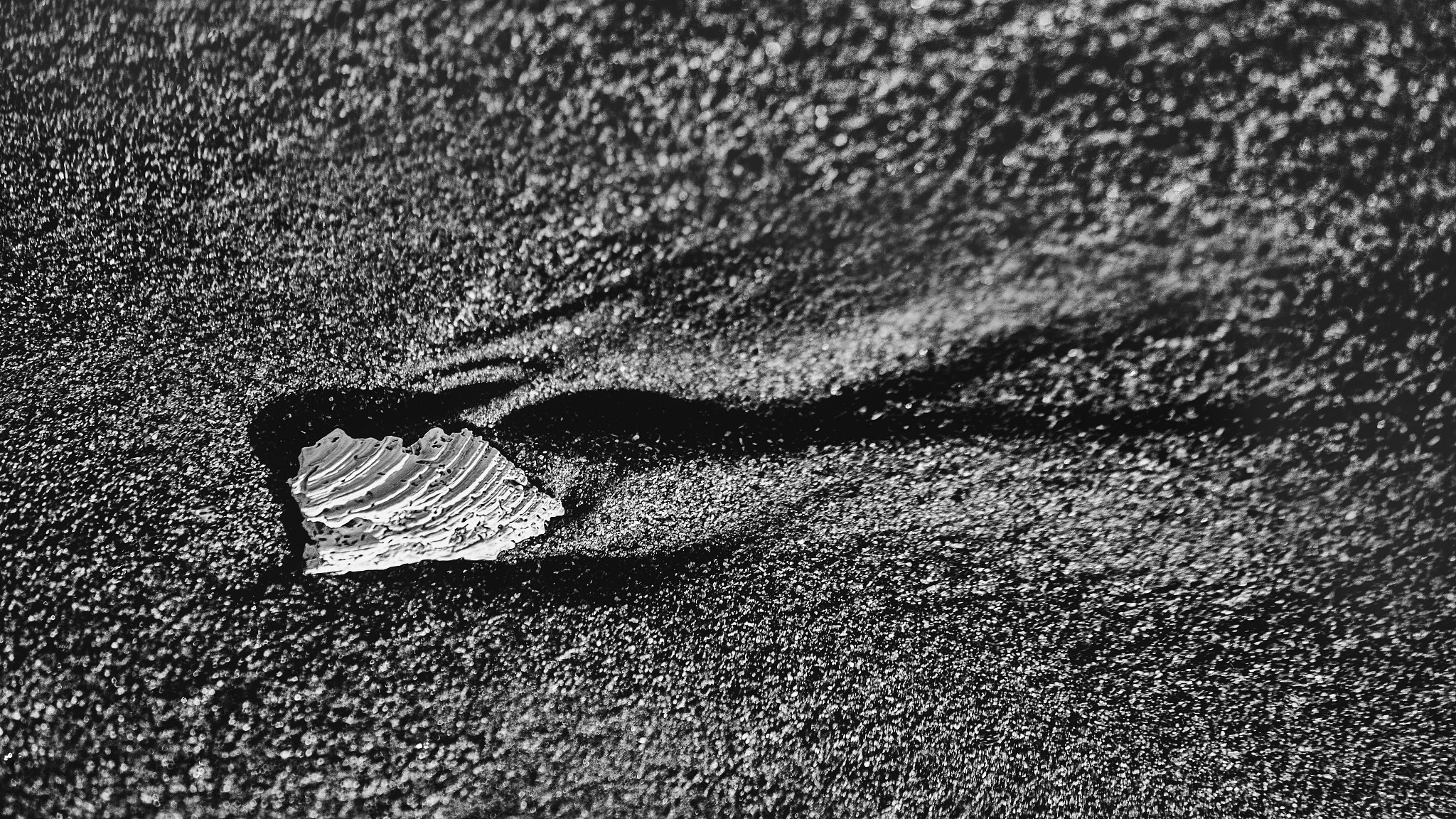 Canon EF 75-300mm F4.0-5.6 IS USM sample photo. Shell fragment photography