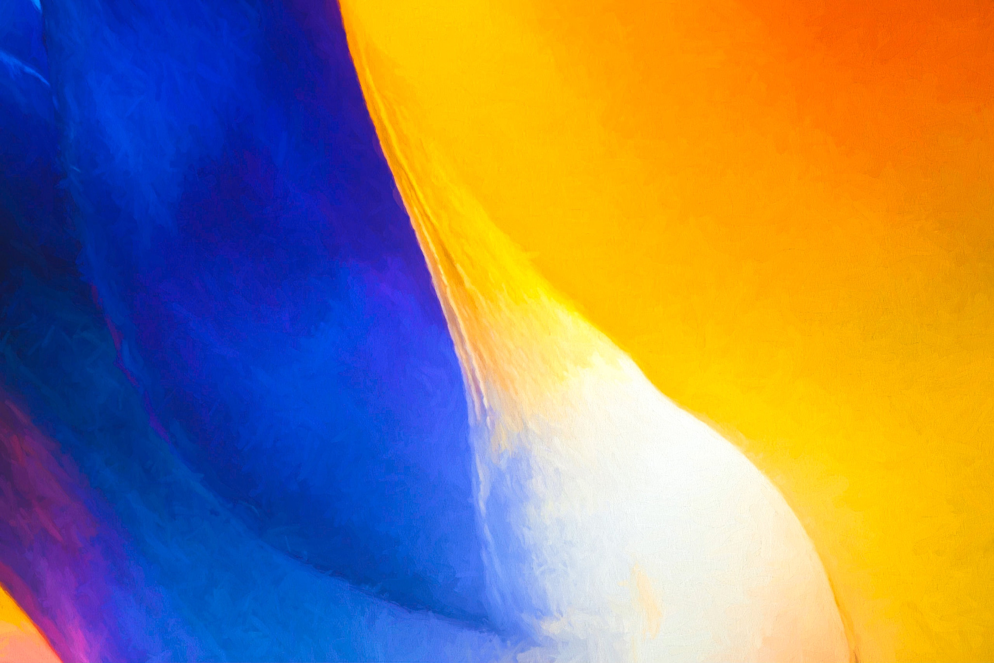 Canon EOS 5D + Canon EF 100mm F2.8 Macro USM sample photo. Close up of a bird of paradise photography