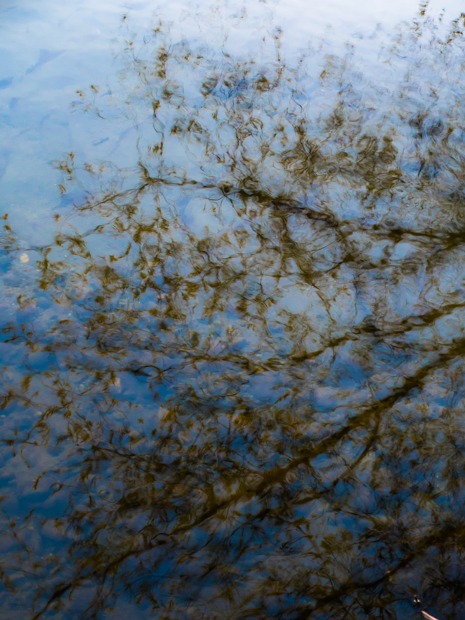 Panasonic Lumix G X Vario 35-100mm F2.8 OIS sample photo. Reflection photography