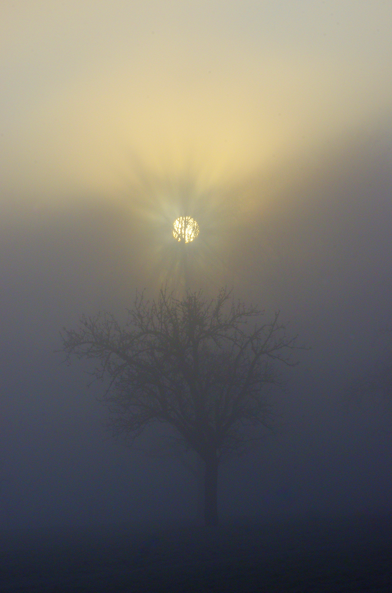 smc PENTAX-DA L 55-300mm F4-5.8 ED sample photo. Sunrays in the early misty morning photography