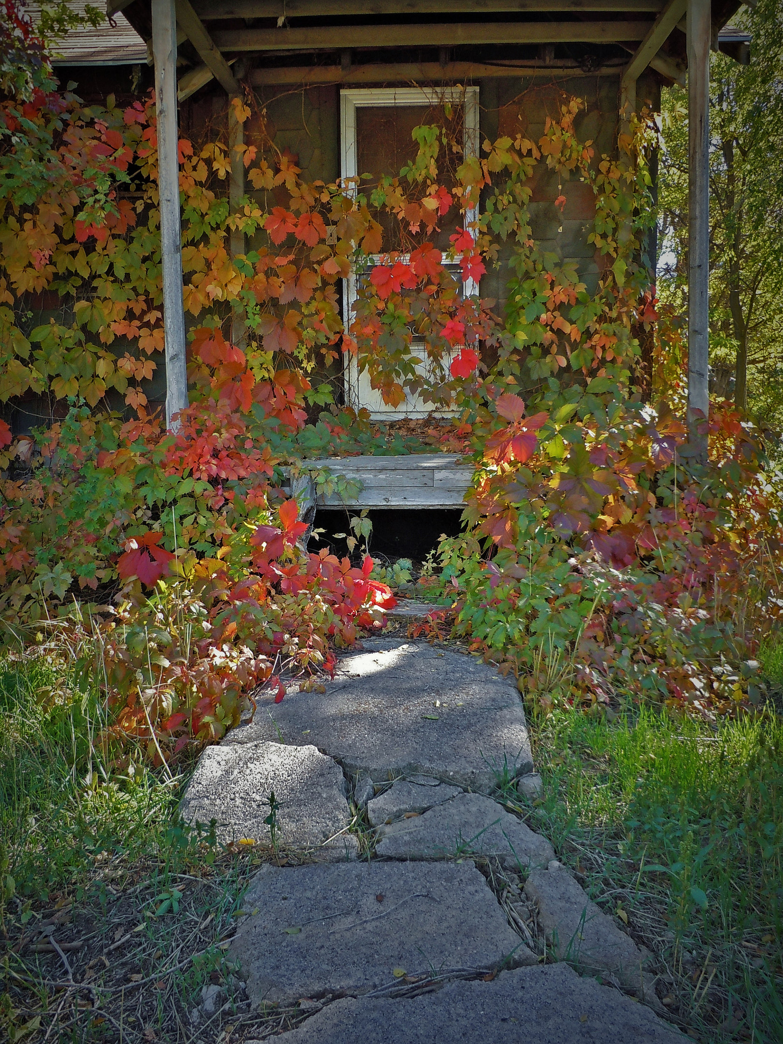 Nikon Coolpix S6000 sample photo. Fall door photography