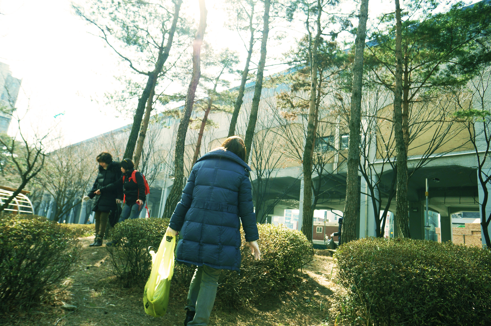Sony Alpha NEX-F3 + Sony E 16mm F2.8 sample photo. Pick trashes photography