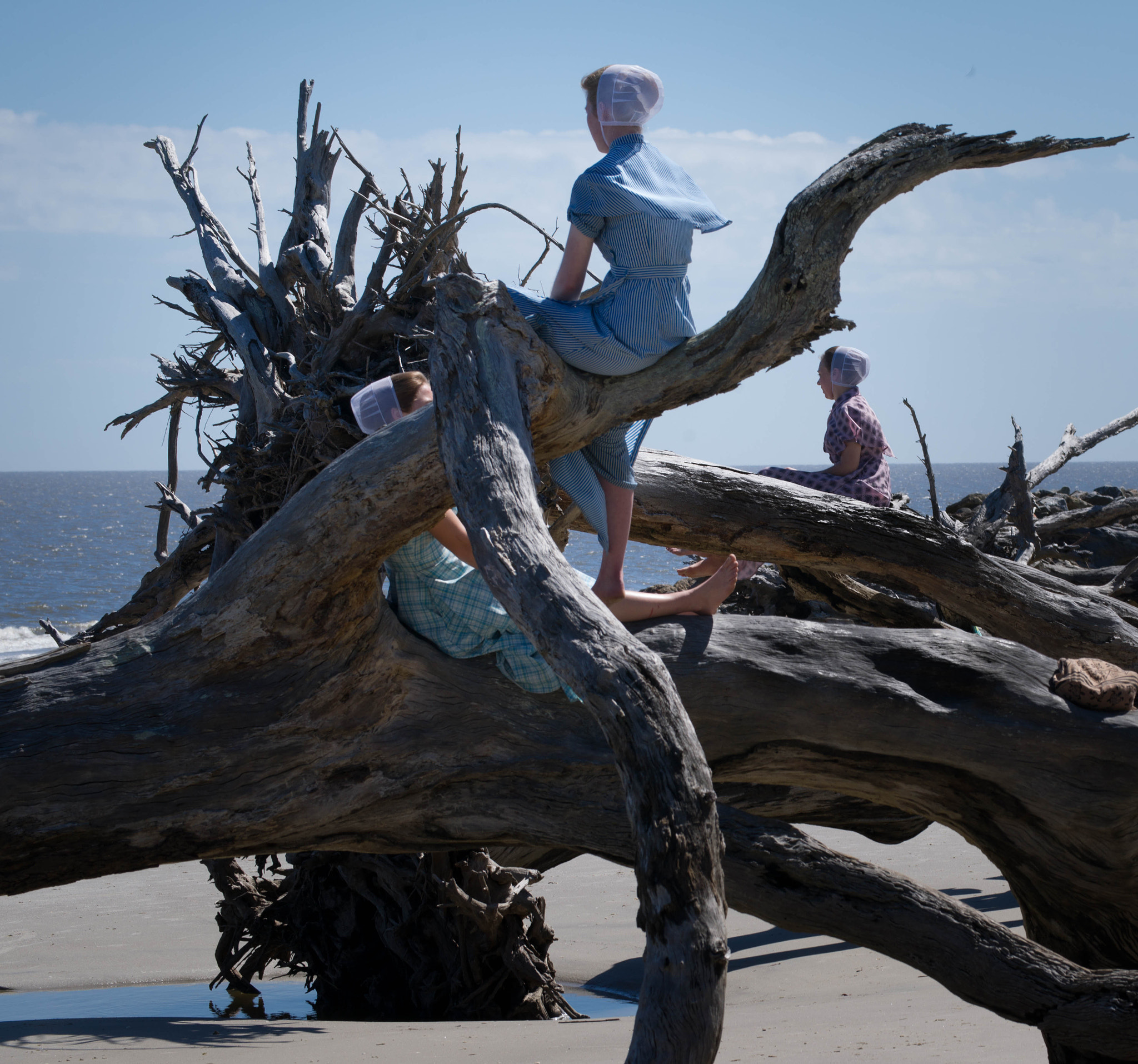 Sony 70-300mm F4.5-5.6 G SSM sample photo. Jekyll island photography