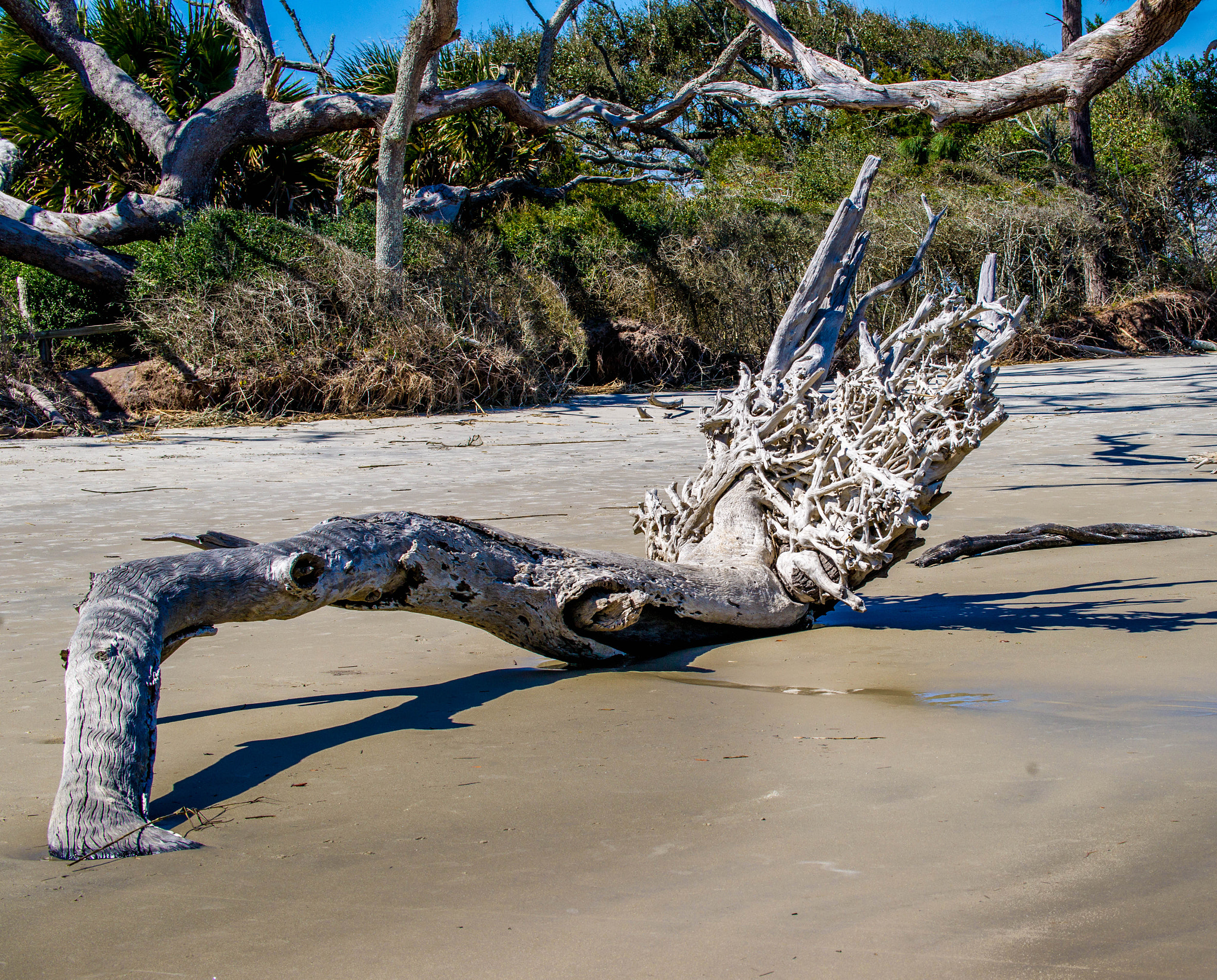 Sony 70-300mm F4.5-5.6 G SSM sample photo. Driftwood photography