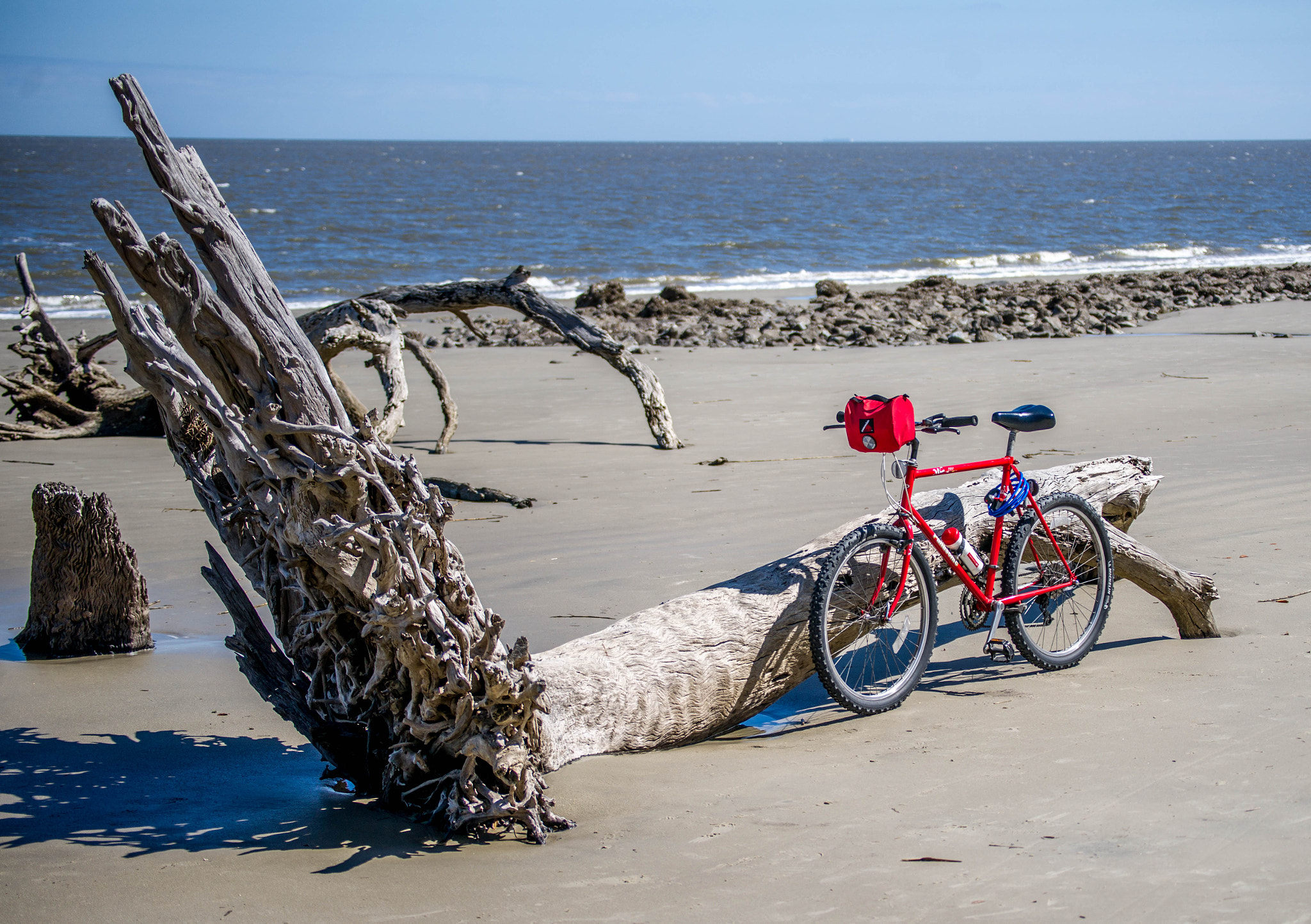 Sony 70-300mm F4.5-5.6 G SSM sample photo. Bike on tree photography