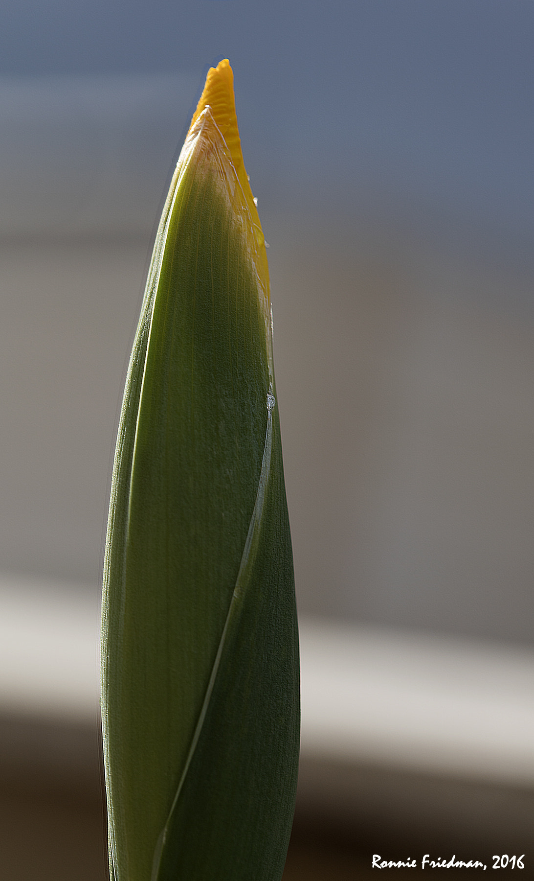 Canon EOS 5DS sample photo. Almost there... photography