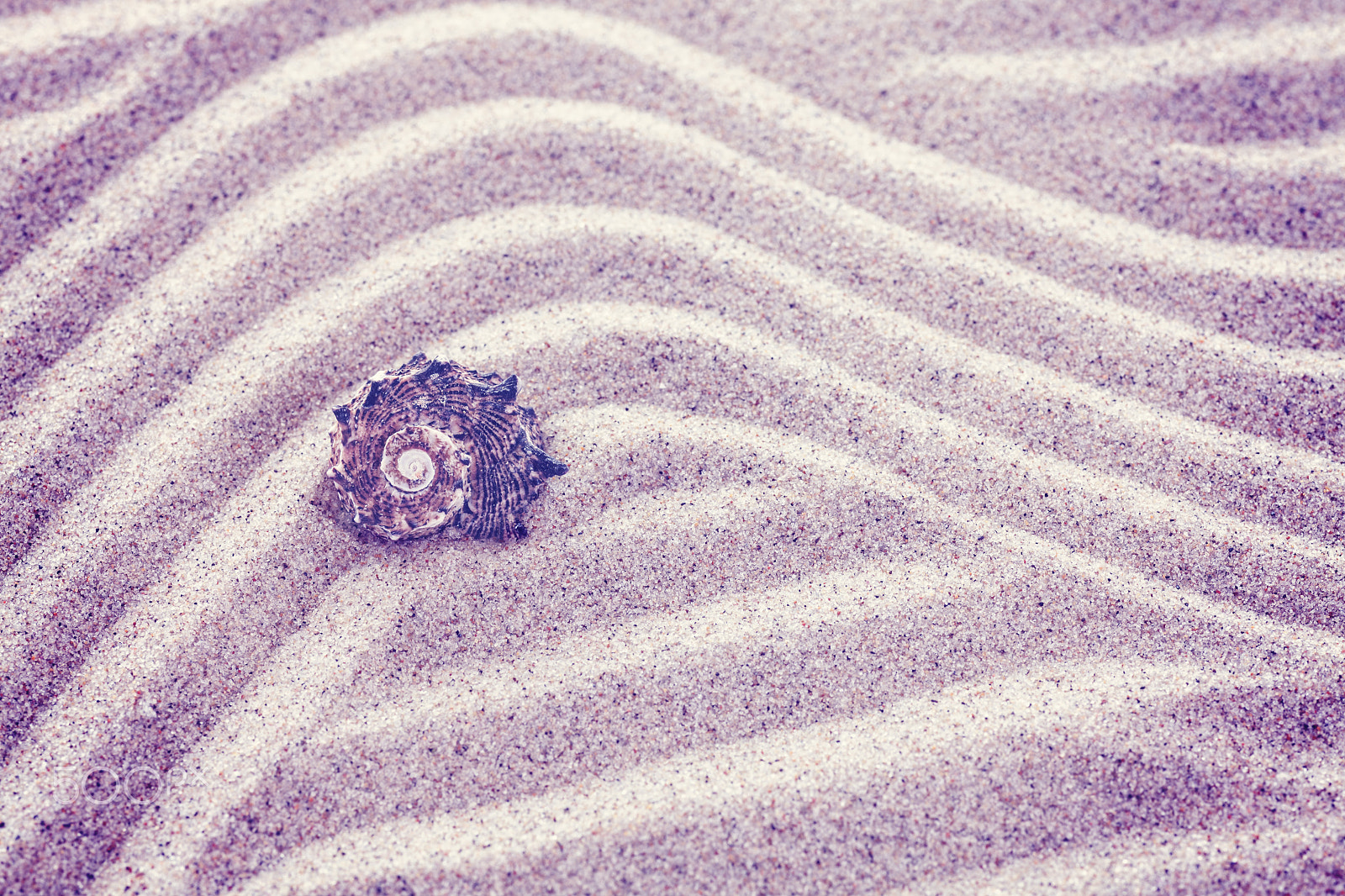 Canon EOS 5D Mark II + Sigma 70mm F2.8 EX DG Macro sample photo. Lost in sandy ocean photography