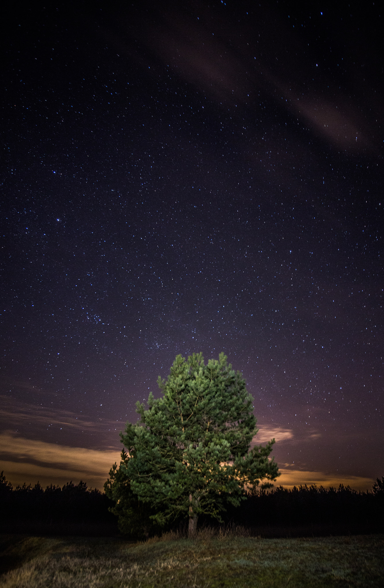 Sigma 15-30mm f/3.5-4.5 EX DG Aspherical sample photo. Full of stars photography