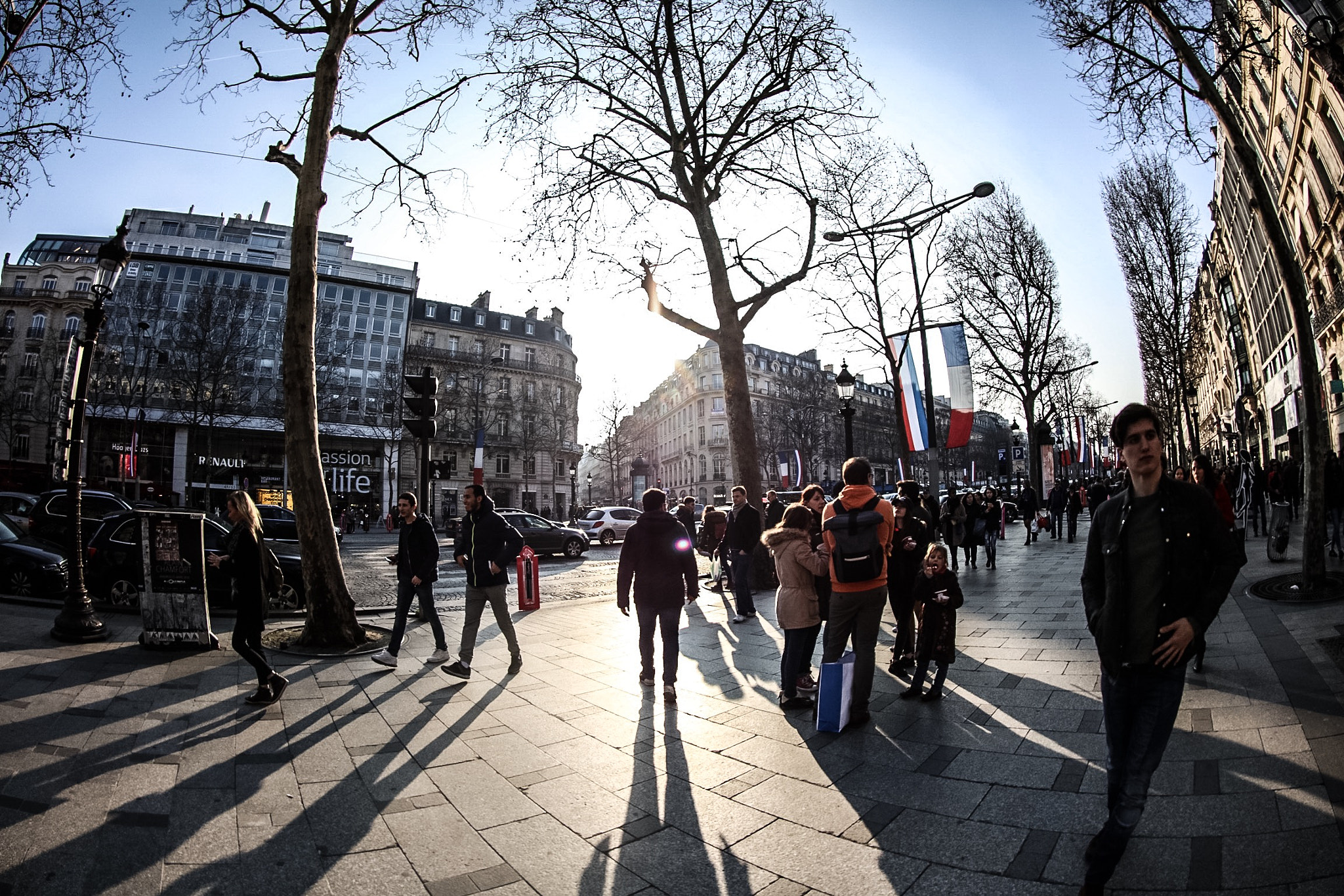 Canon EF 8-15mm F4L Fisheye USM sample photo. Sun light magic photography