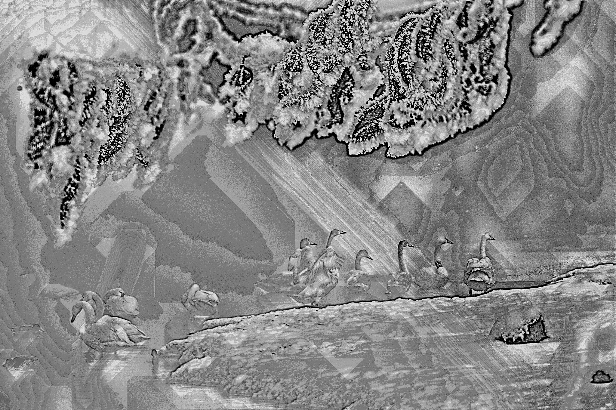 Nikon AF-S Nikkor 500mm F4G ED VR sample photo