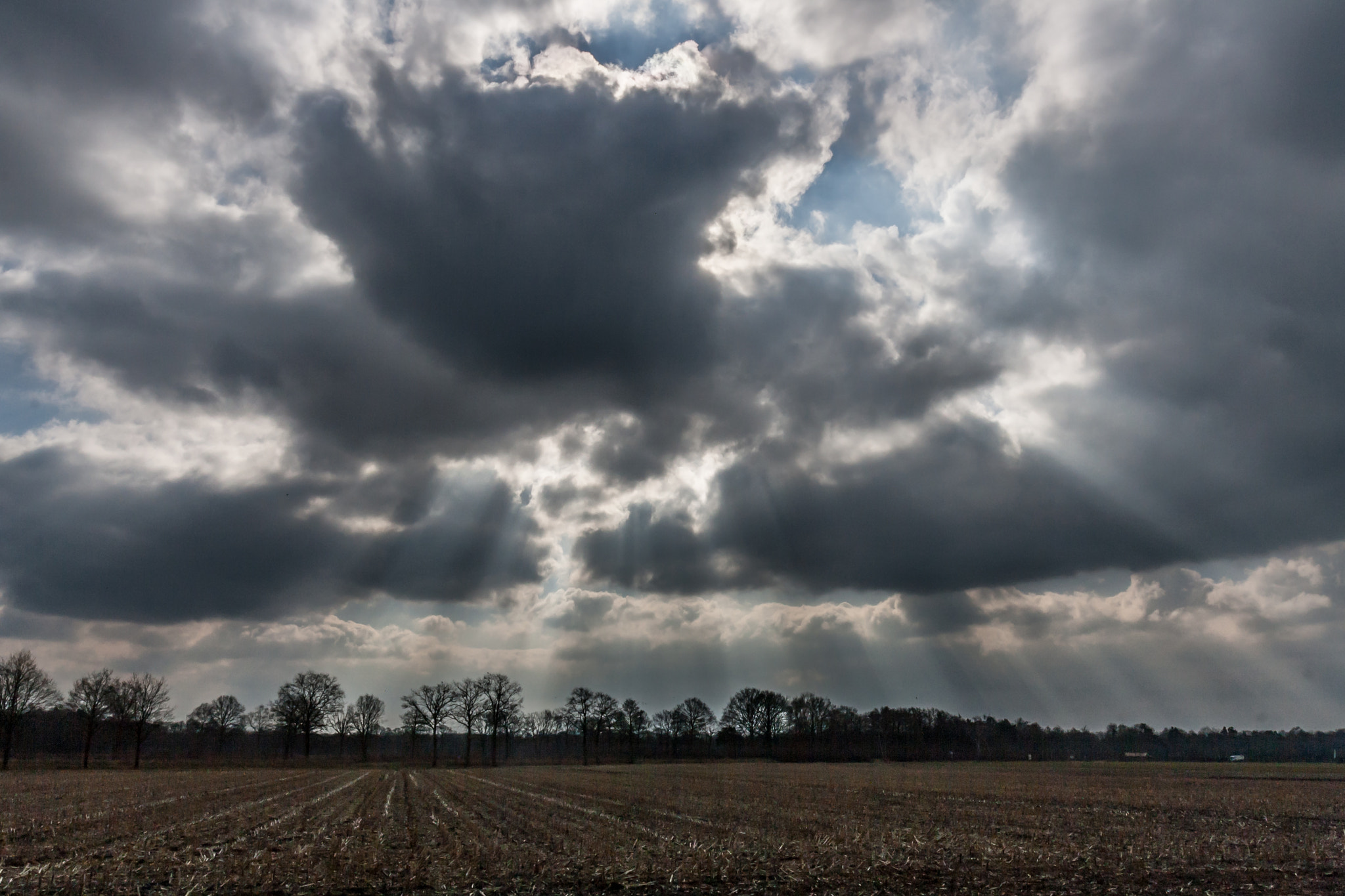 Canon EOS 1000D (EOS Digital Rebel XS / EOS Kiss F) sample photo. "clouds, sun and scenery..." photography