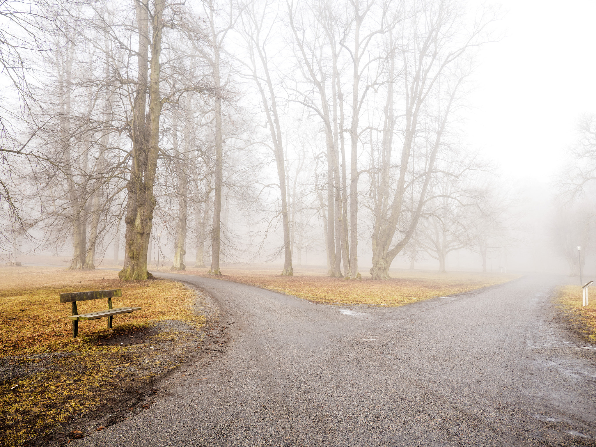 Panasonic Lumix DMC-GX8 + Panasonic Lumix G Vario 7-14mm F4 ASPH sample photo. Misty morning photography