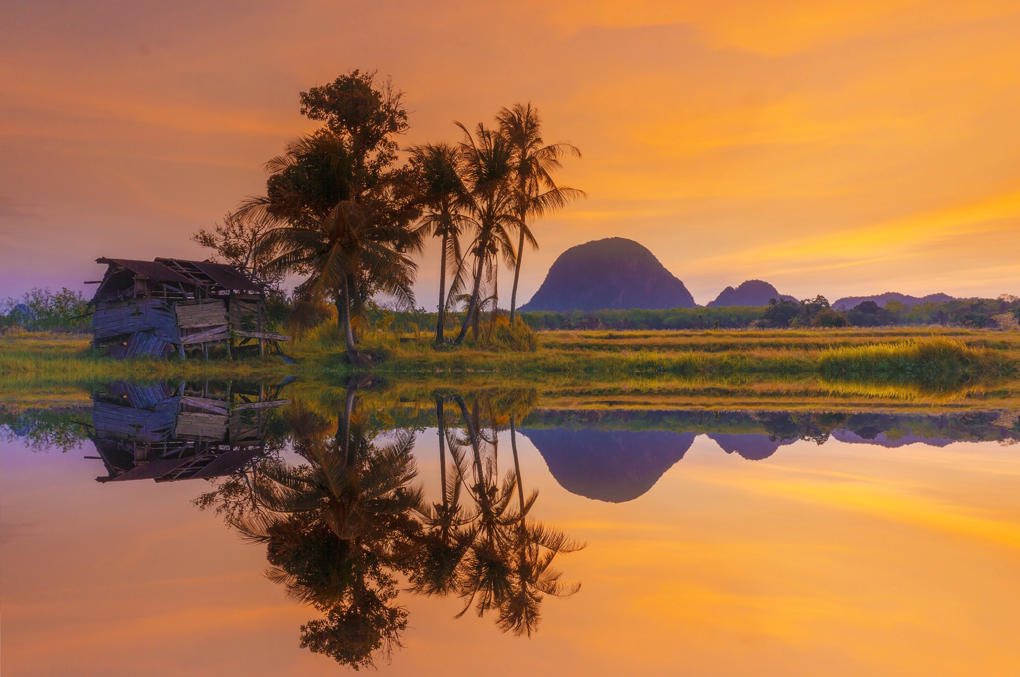 v2?sig=faab56827f408d38853d05eb6bb0a88749377b94500c42f17c66f9ba01e4c6d5